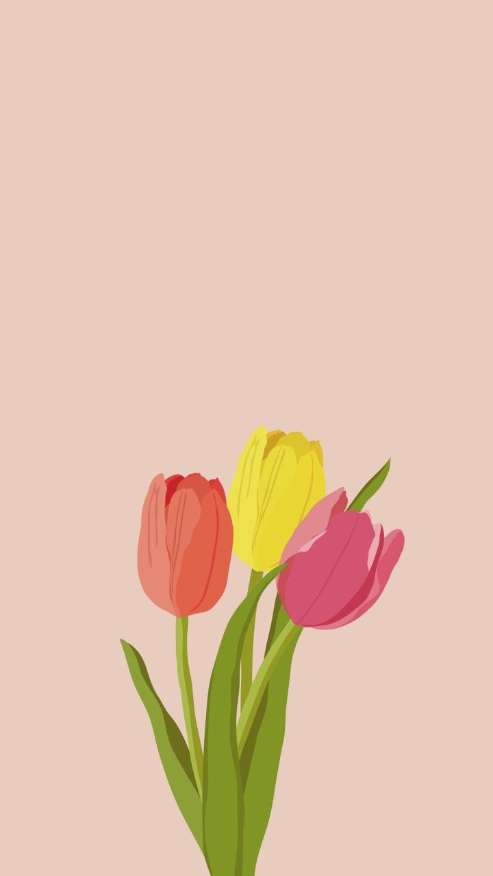 Tulips Aesthetic Wallpapers - Top Free Tulips Aesthetic Backgrounds