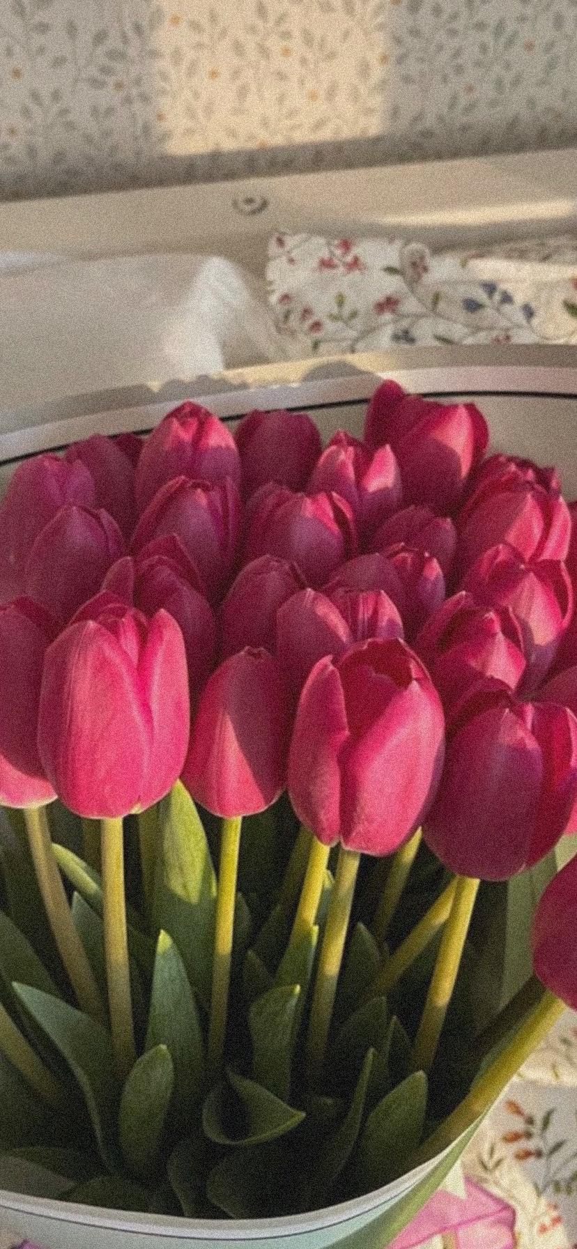 Tulips Aesthetic Wallpapers Top Free Tulips Aesthetic Backgrounds Wallpaperaccess