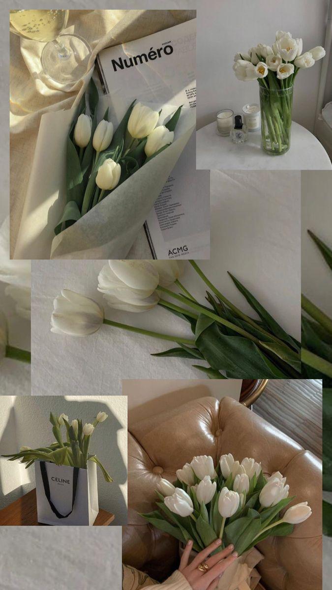 675x1200 White tulips wallpaper aesthetic