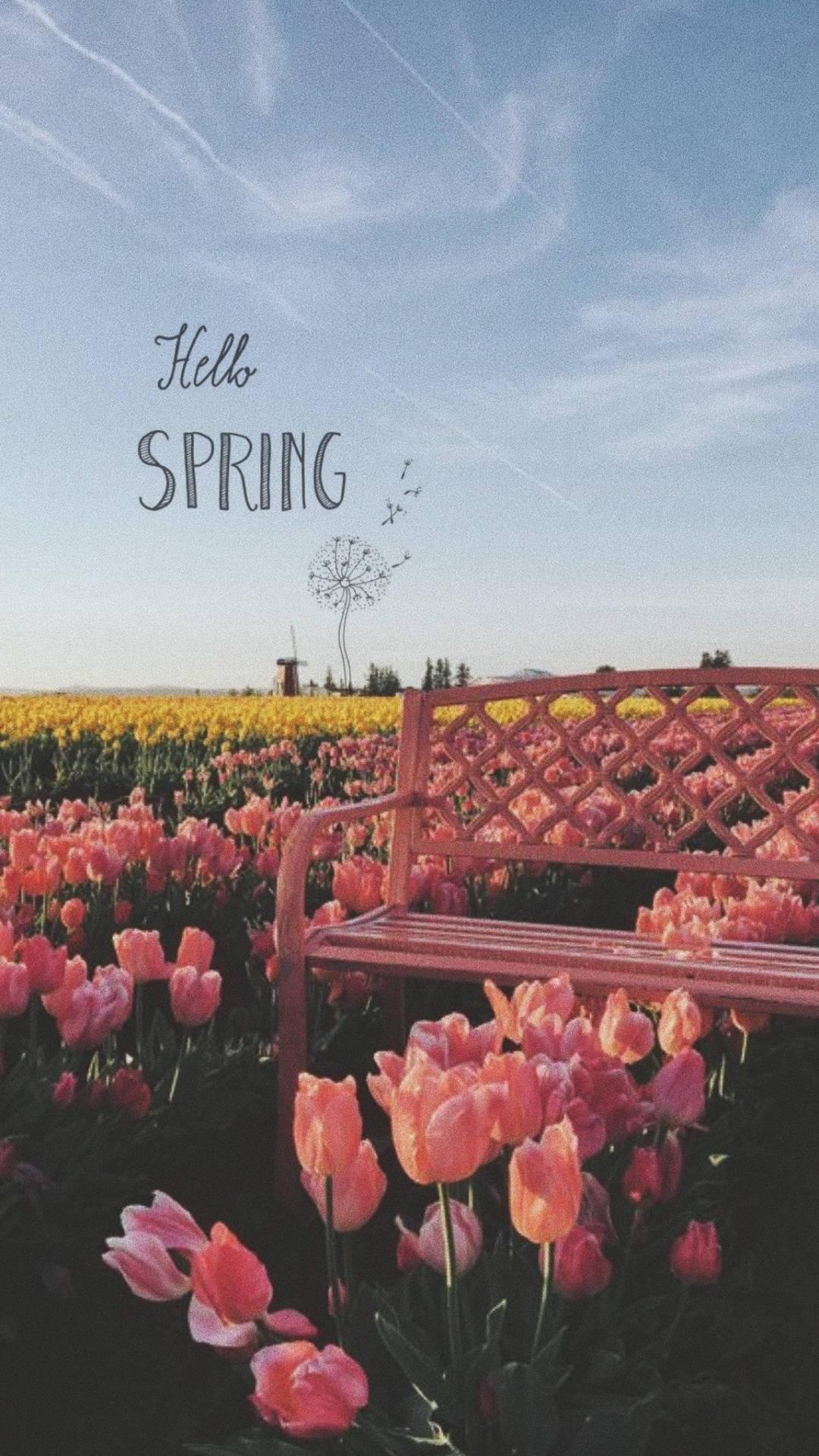 1080x1920 Download Tulips Welcome Spring Aesthetic Wallpaper