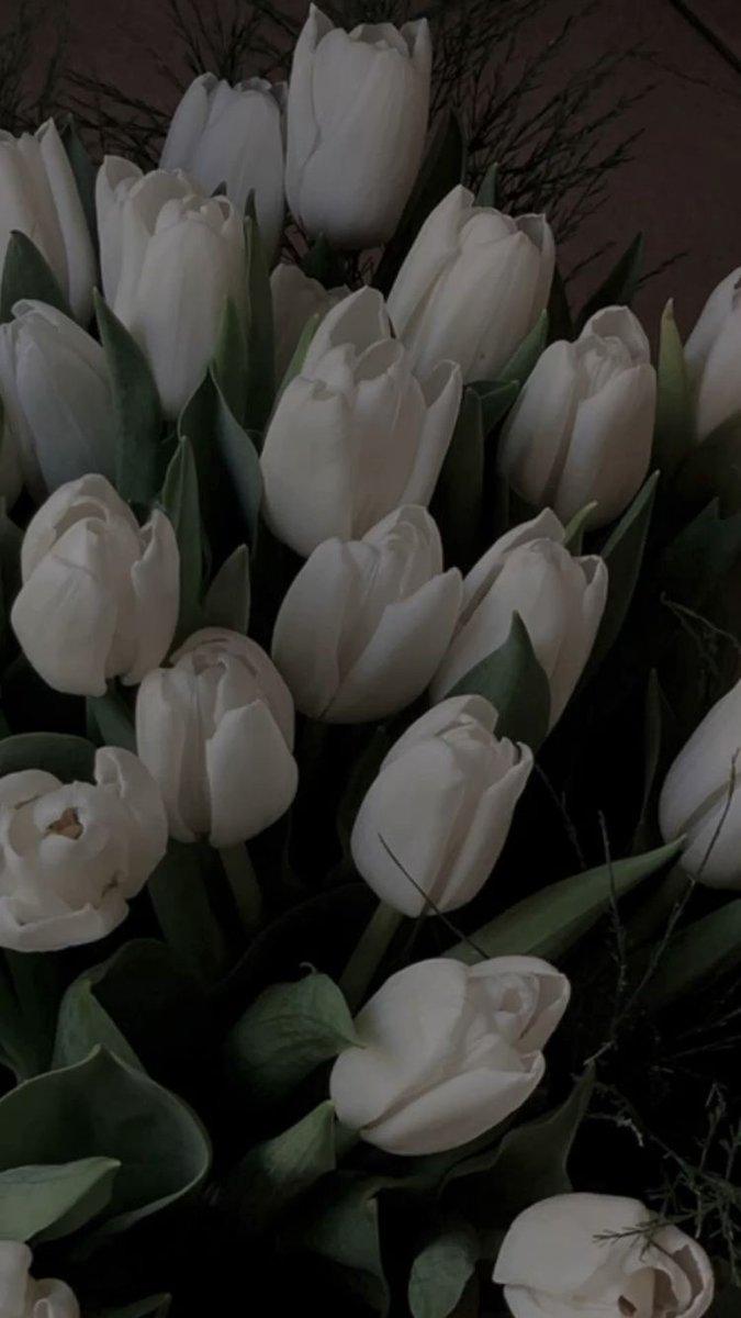 675x1200 a♡ a husband so he can buy me a white tulips bouquet