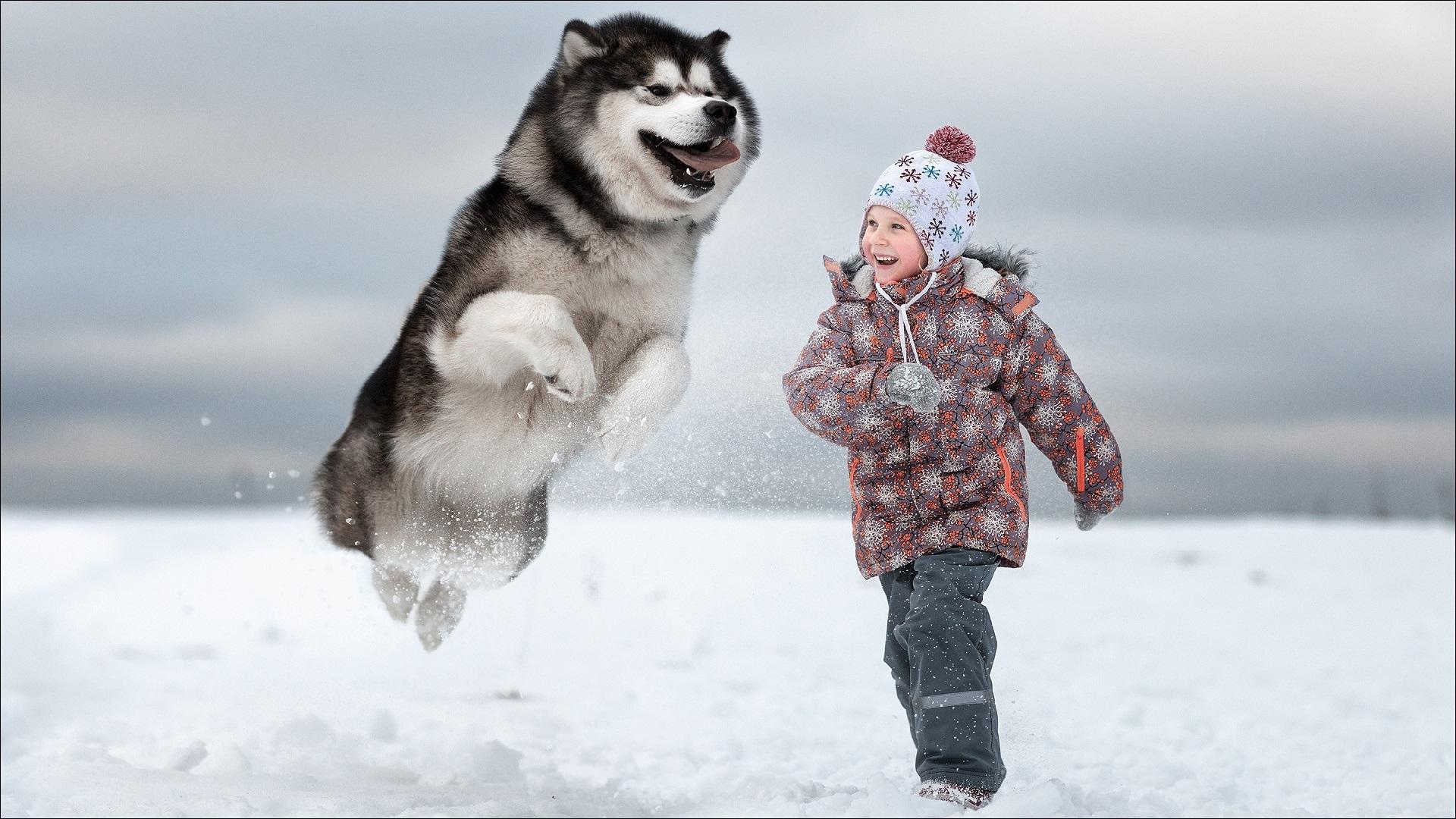 1920x1080 Wallpaper Child girl and dog play in the snow 1920x1080 Full HD 2K Picture, Image