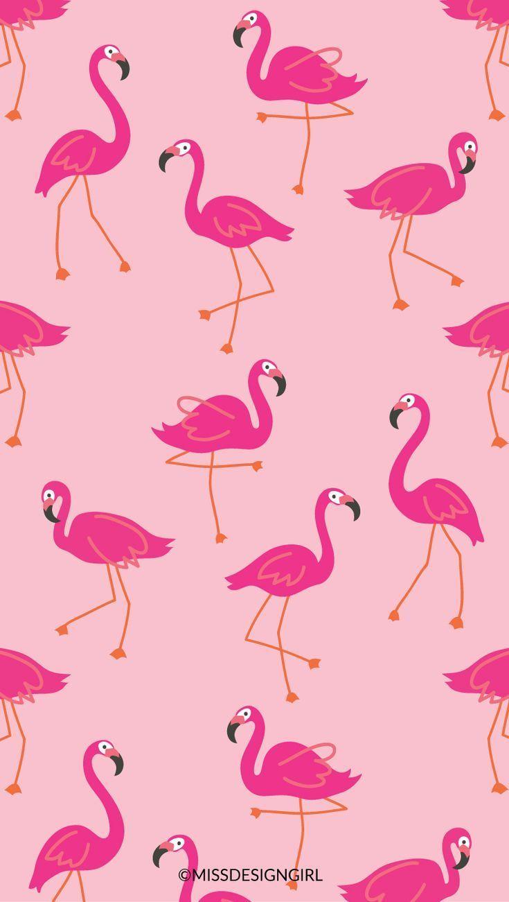 Flamingo Wallpaper on Behance