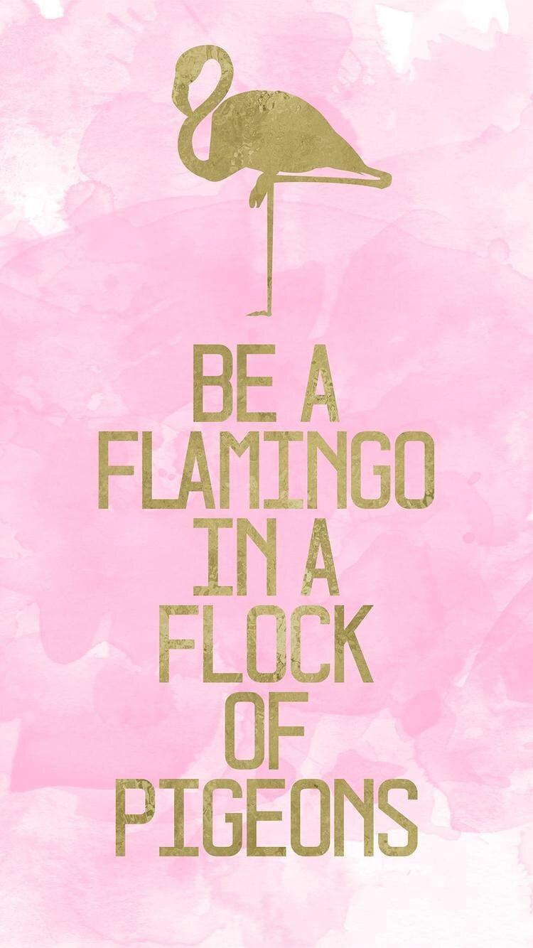 750x1334 iPhone and Android Wallpaper: Be A Flamingo iPhone Wallpaper