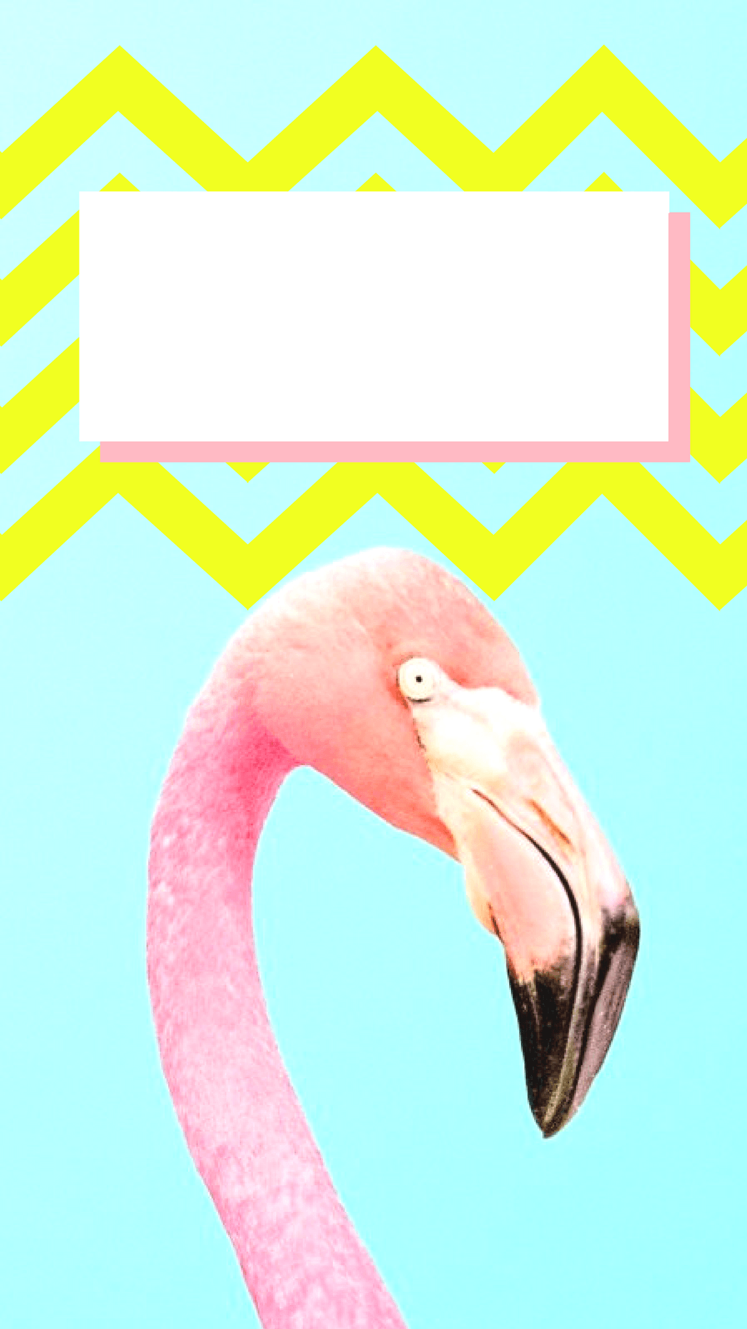 1080x1920 Flamingo wallpaper for iPhone 5s or SE!. iPhone wallpaper in 2019