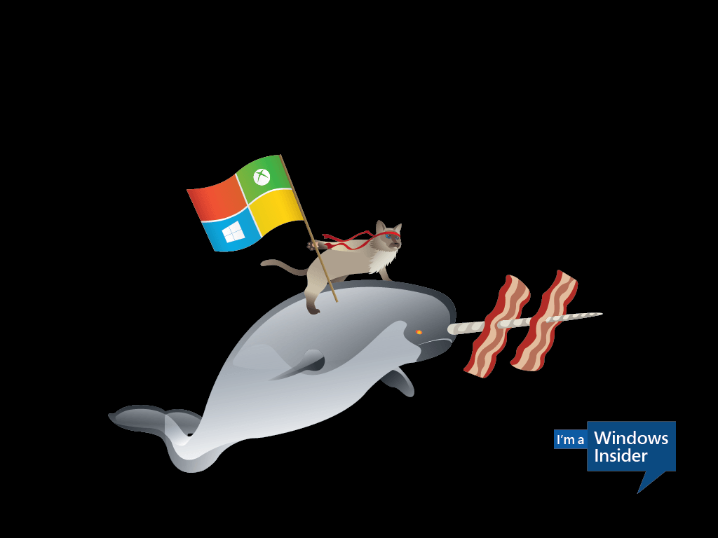 1024x768 A fun surprise for Windows Insiders. Windows Experience Blog