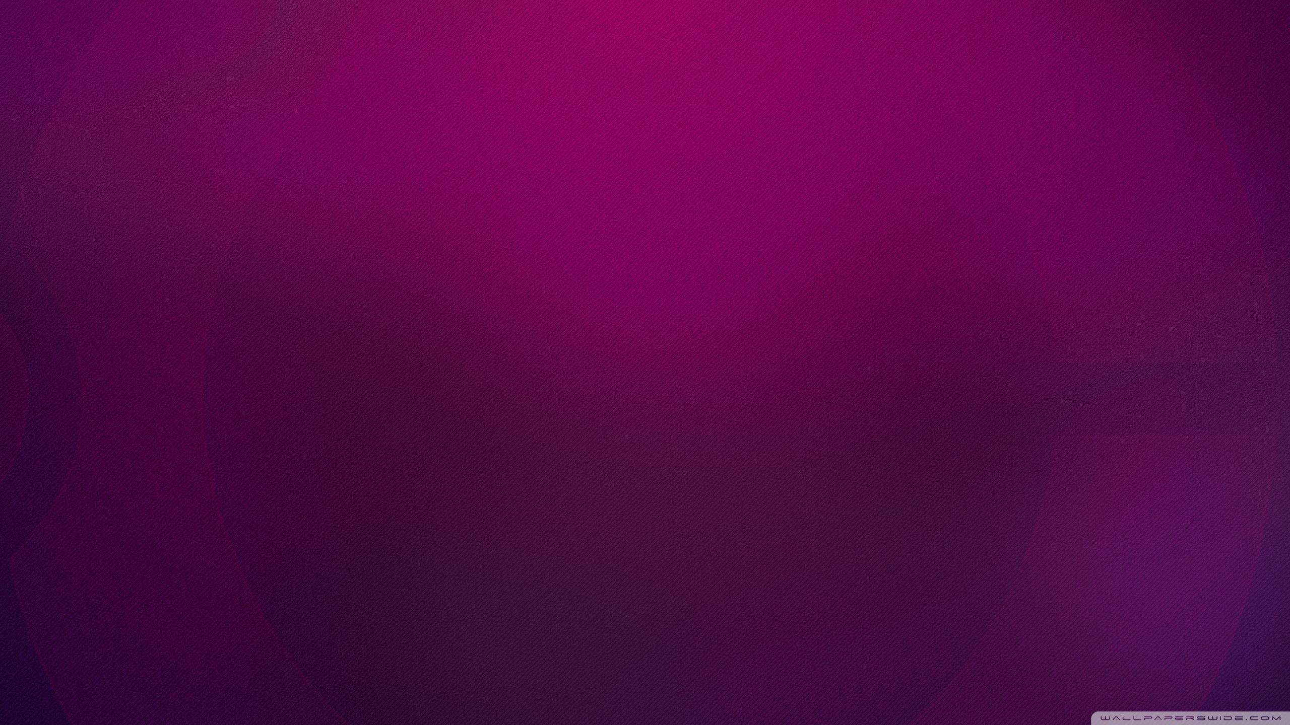 2560x1440 Plain Purple Ultra HD Desktop Background Wallpaper for 4K UHD TV : Tablet