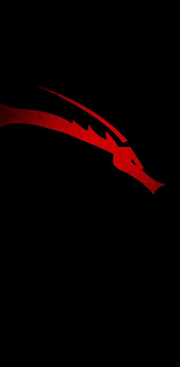 Kali Linux iPhone Wallpapers - Top Free Kali Linux iPhone Backgrounds ...