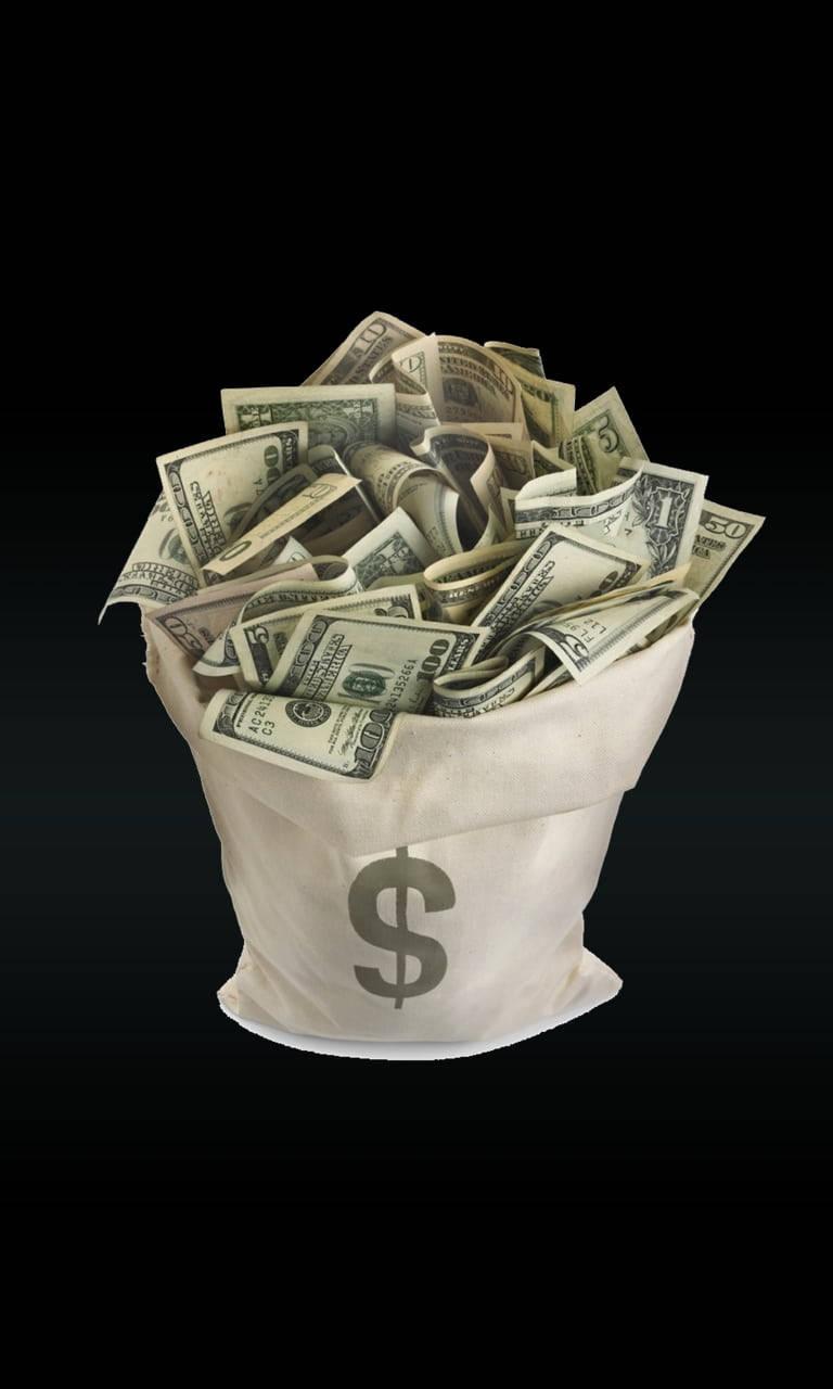 768x1280 Download Sack Of Money iPhone Wallpaper