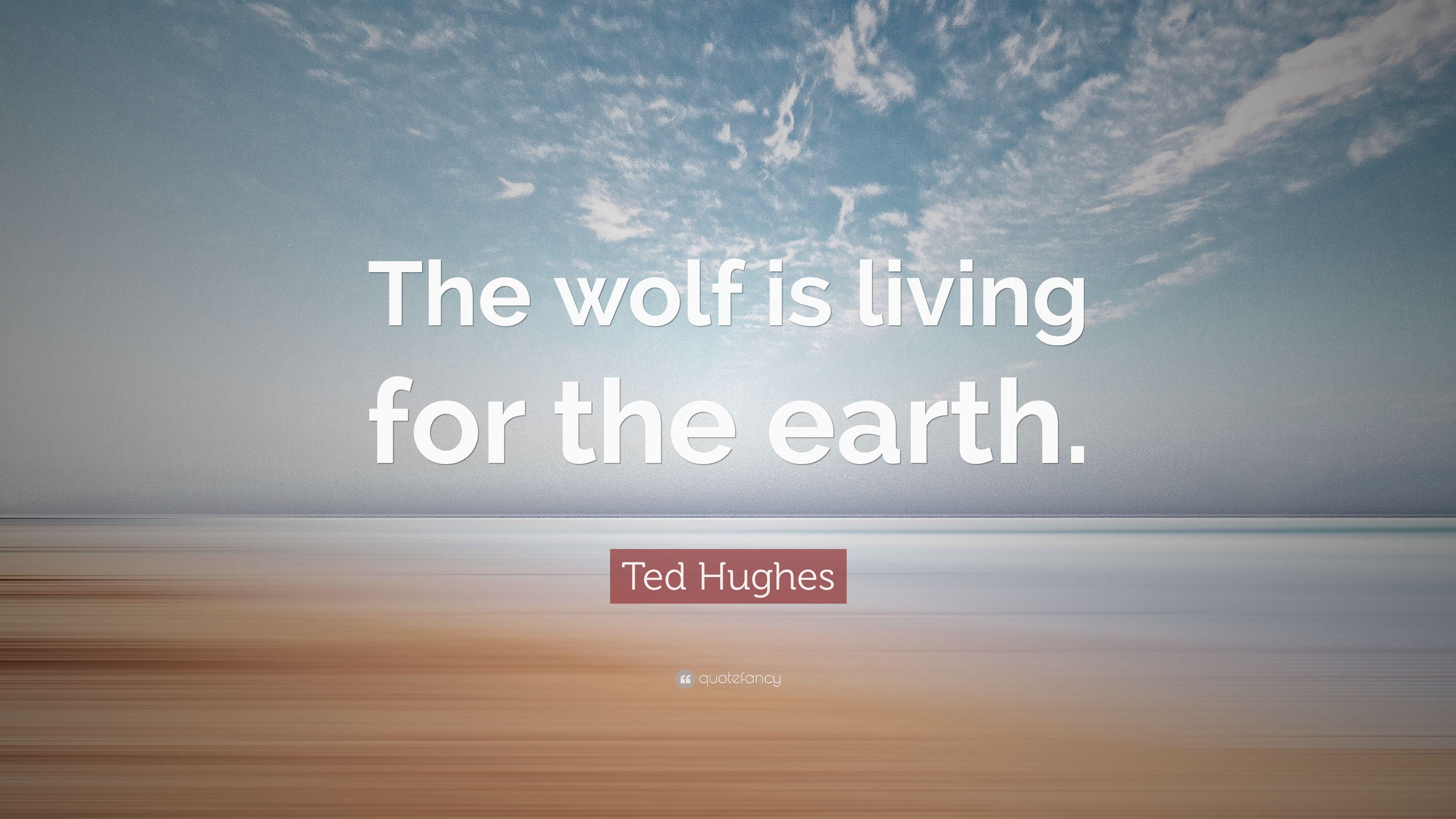 3840x2160 Ted Hughes Quote: “The wolf is living for the earth.” 9 wallpaper