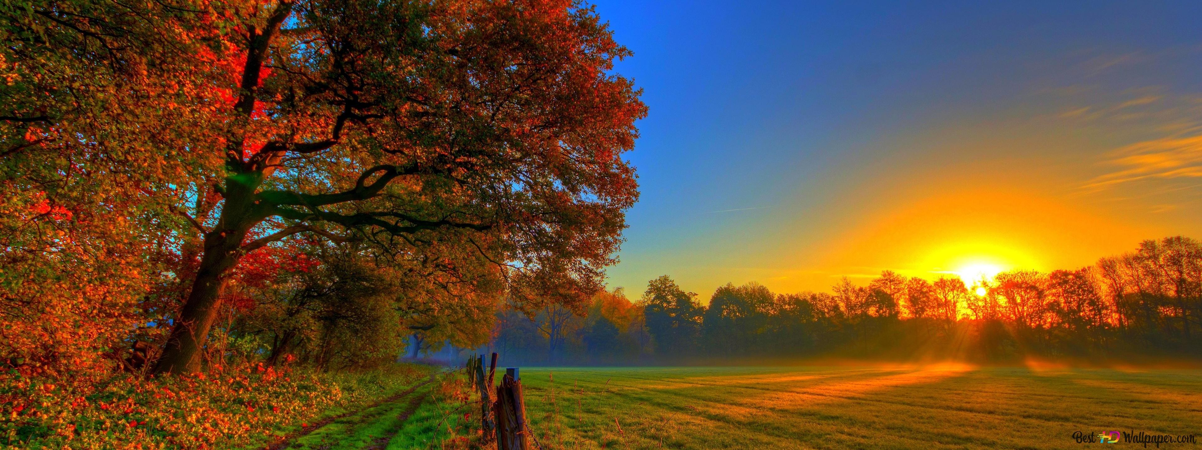 3840x1440 Autumn and sunset 4K wallpaper download