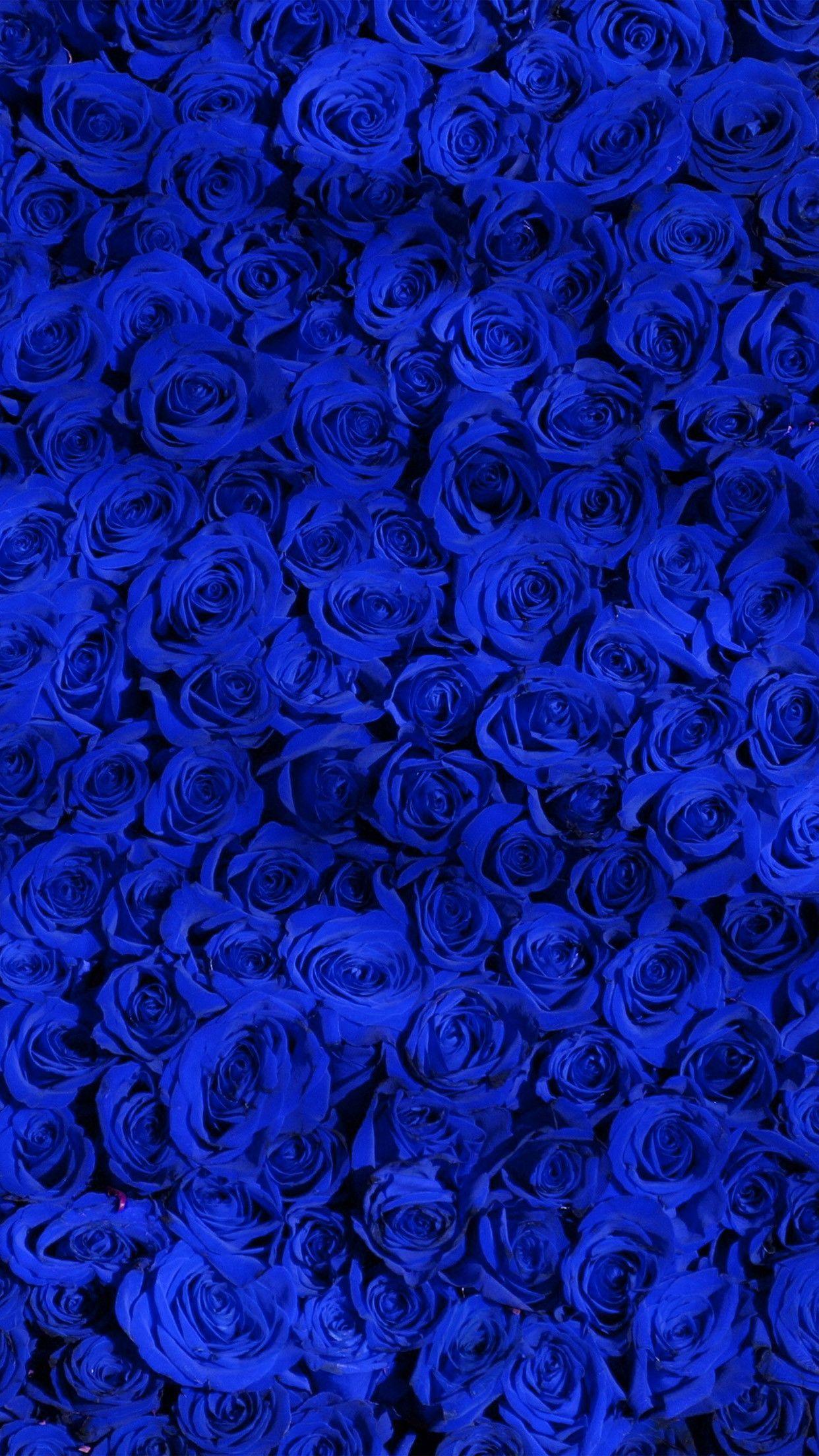 1242x2208 Blue Roses iPhone Wallpaper