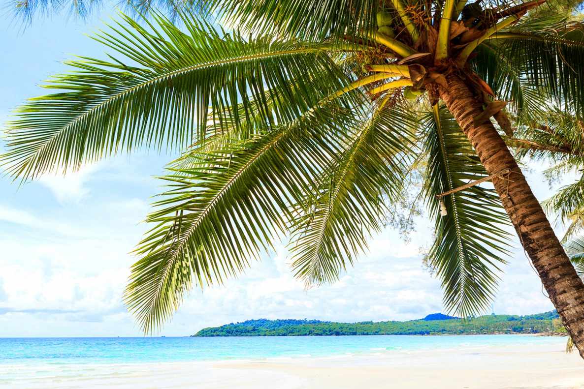 1186x791 The 11 Best Free Beach Wallpaper of 2023