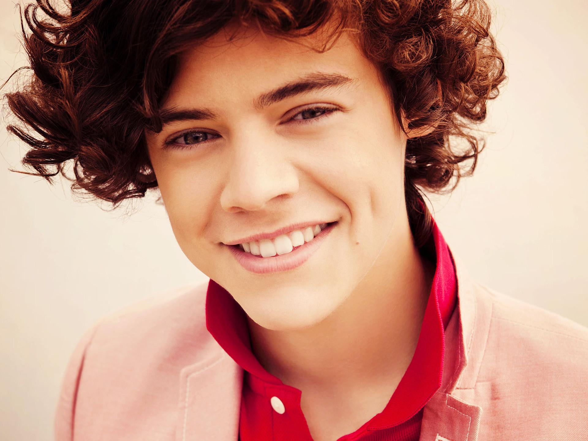 1920x1440 Harry Styles Wallpaper