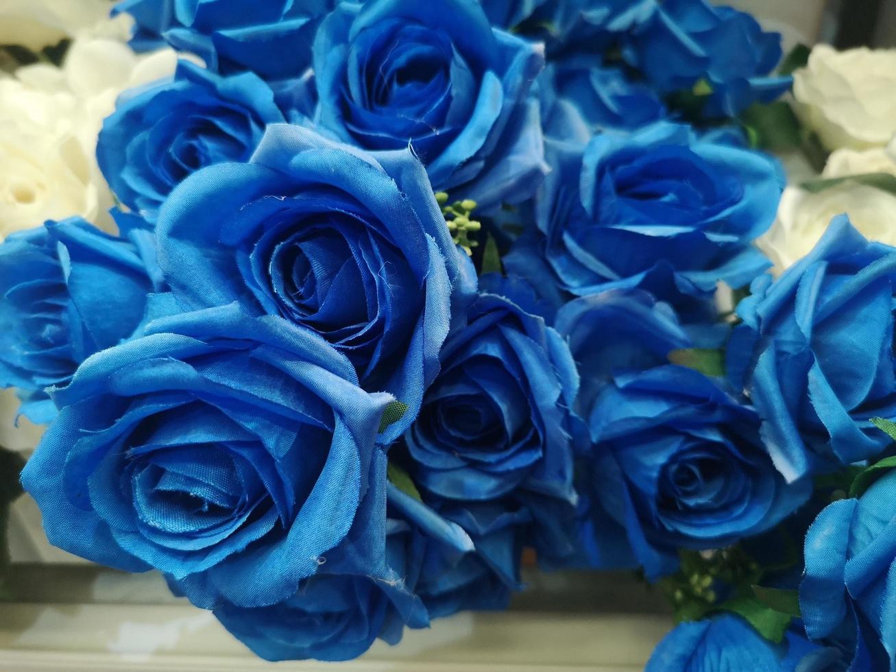 Dark Blue Rose Wallpapers Top Free Dark Blue Rose Backgrounds