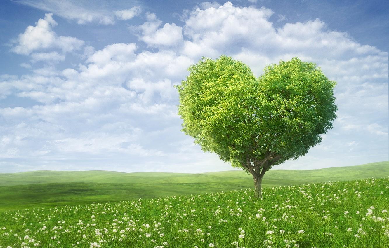 1332x850 Wallpaper the sky, clouds, love, flowers, tree, romance, heart, love, Valentine's day, sky, heart, flowers, clouds, green field, tree, Valentine's Day image for desktop, section настроения