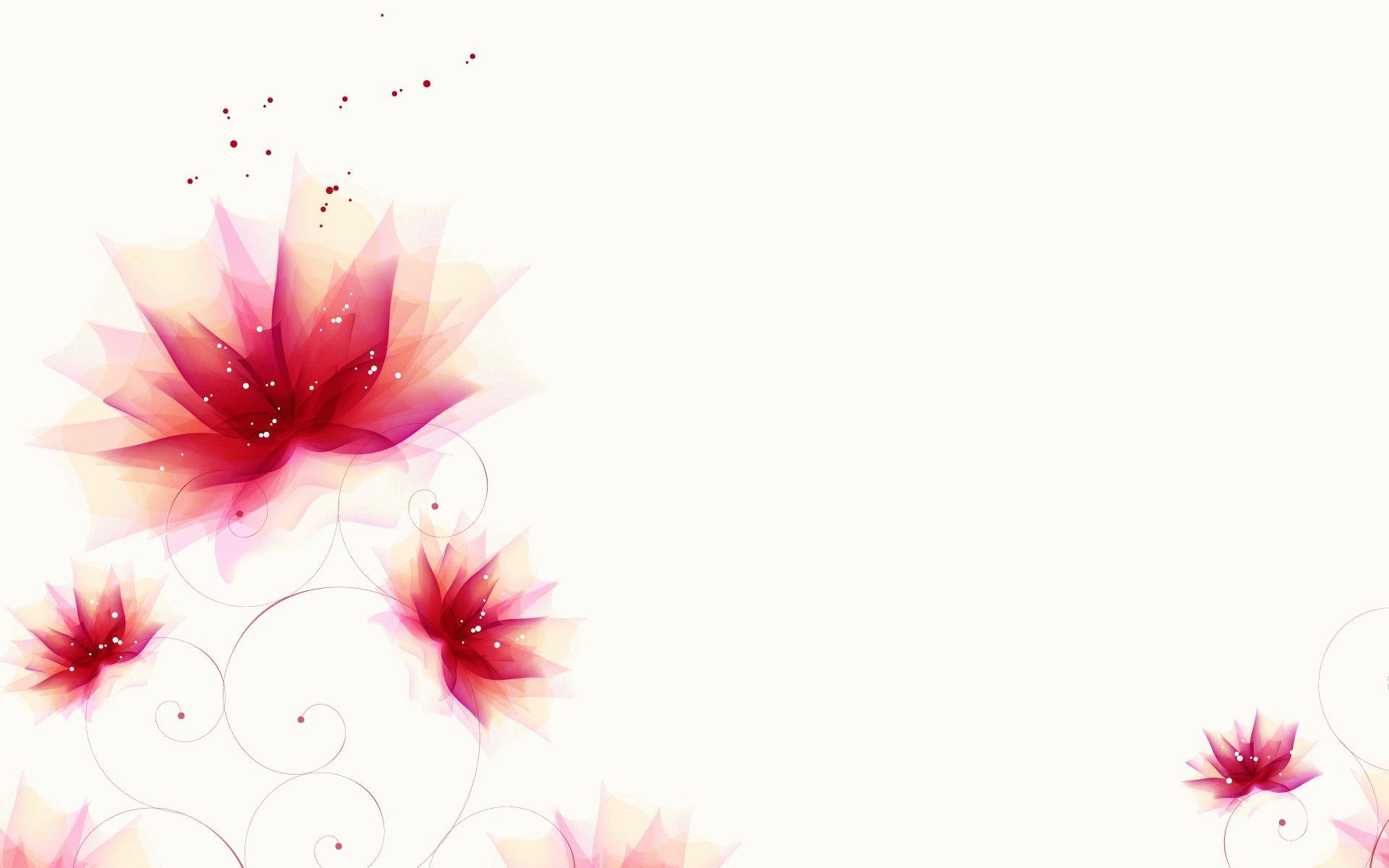 1920x1200 Elegant Flower Wallpaper
