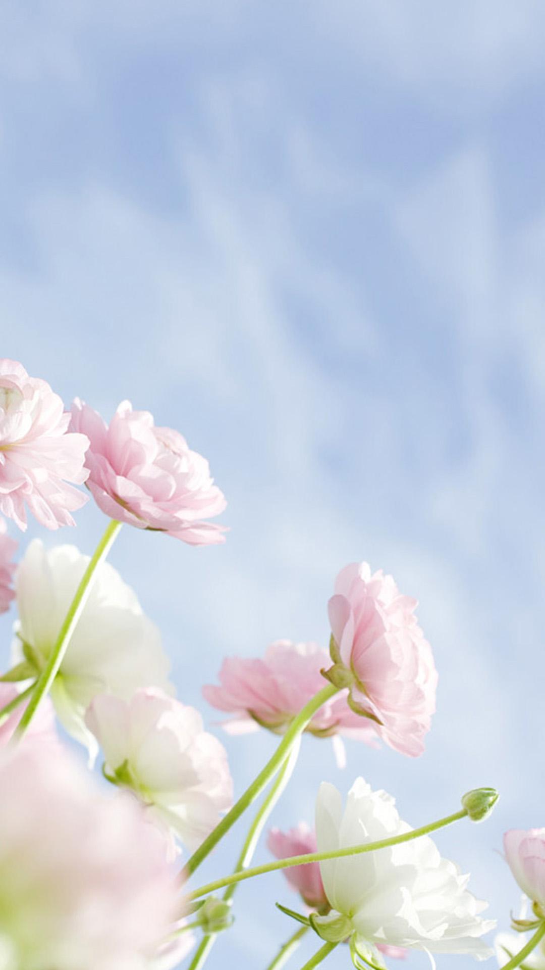 1080x1920 Free download Elegant Flowers Galaxy S5 Wallpaper Samsung Galaxy Samsung S5 [1080x1920] for your Desktop, Mobile & Tablet. Explore Elegant Flower Wallpaper. Black Elegant Wallpaper, Elegant Wallpaper, Elegant Wallpaper Designs