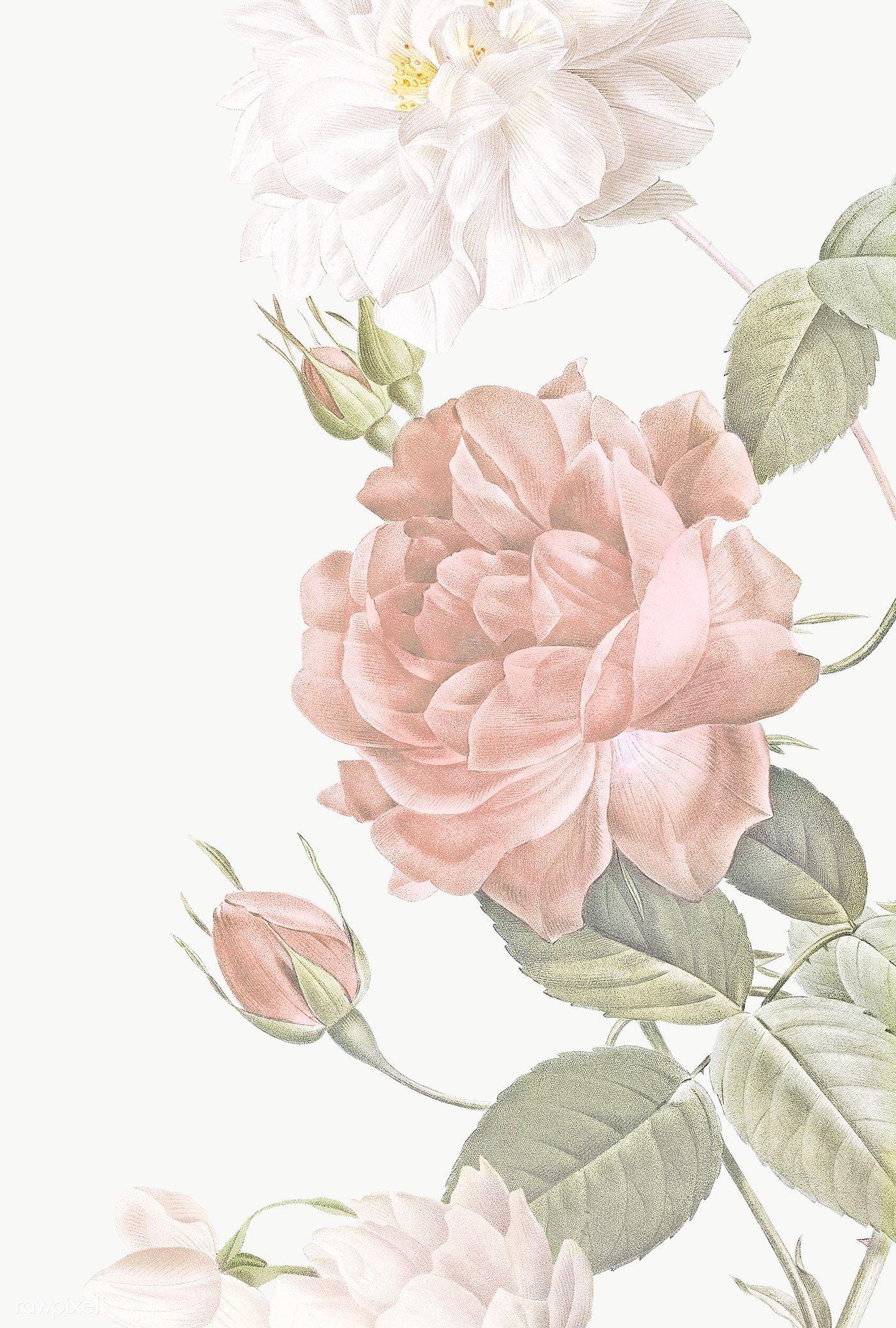 1400x2074 Elegant floral frame design transparent png. premium image / Donlaya / ploy / manot. Flower background wallpaper, Flowery wallpaper, Frame design