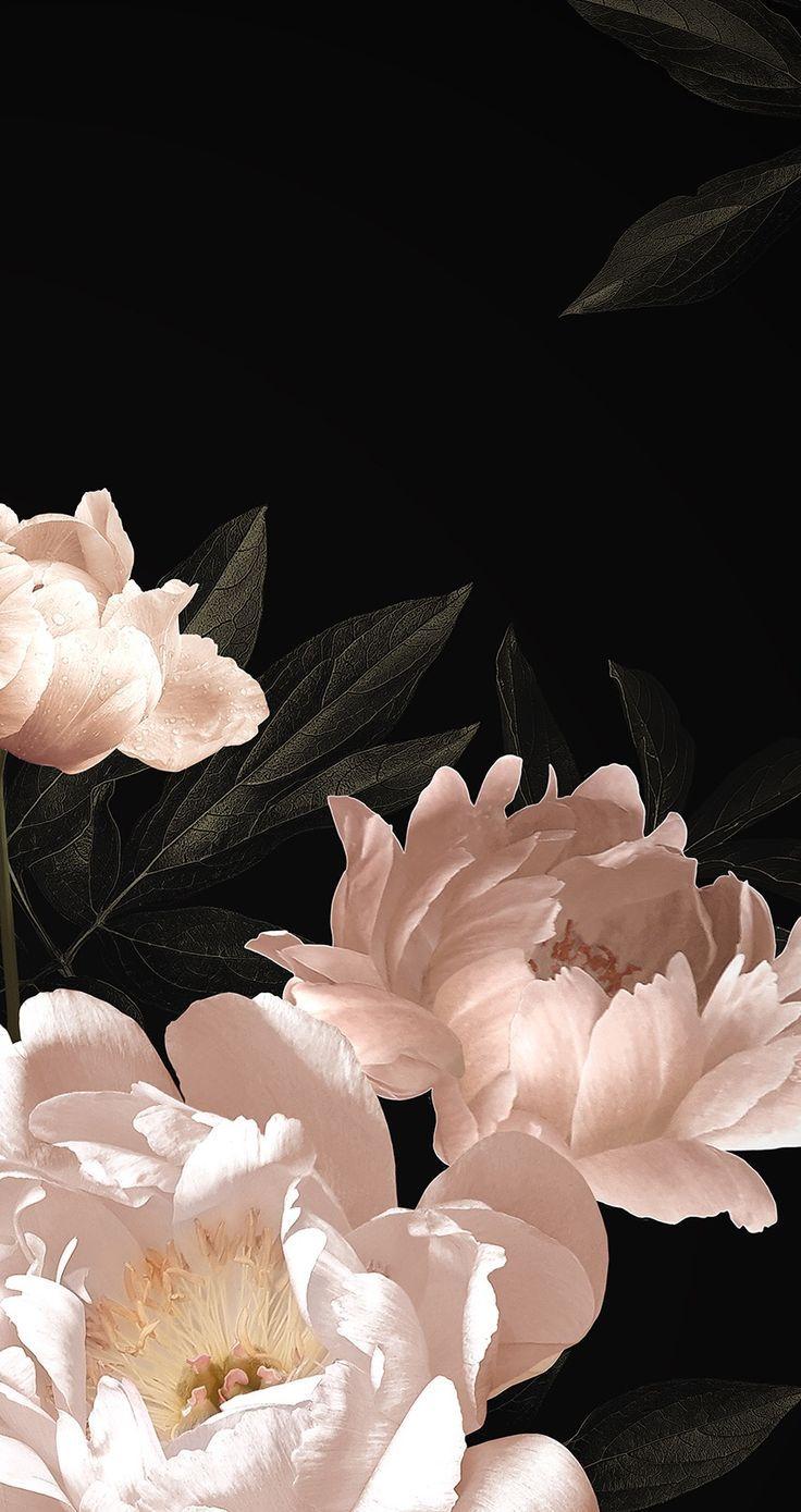 736x1389 Экраны. Floral wallpaper phone, Flower iphone wallpaper, Floral wallpaper. Floral wallpaper phone, Phone wallpaper, iPhone wallpaper