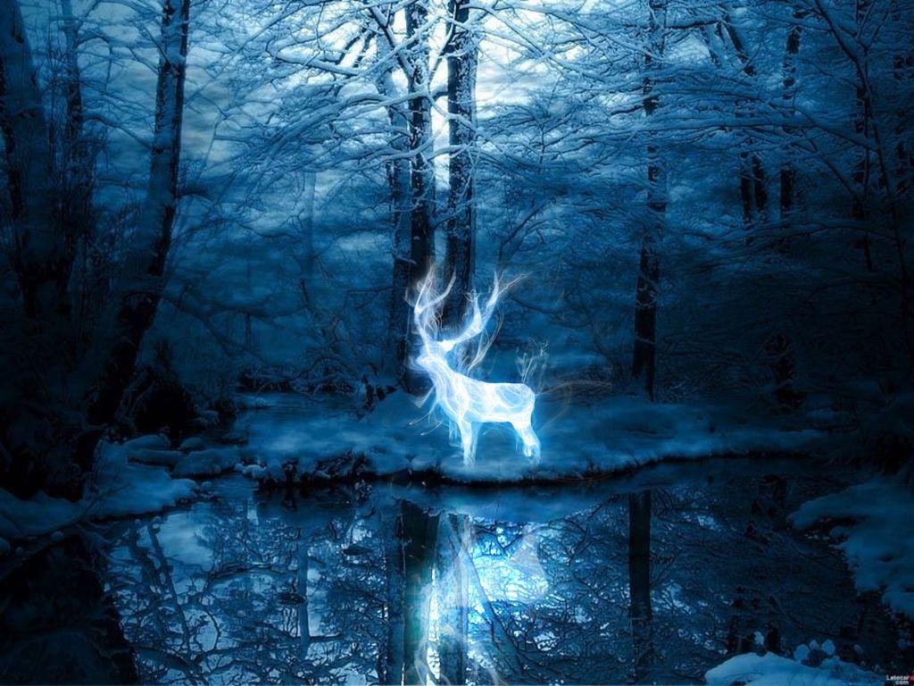 HD patronus wallpapers | Peakpx