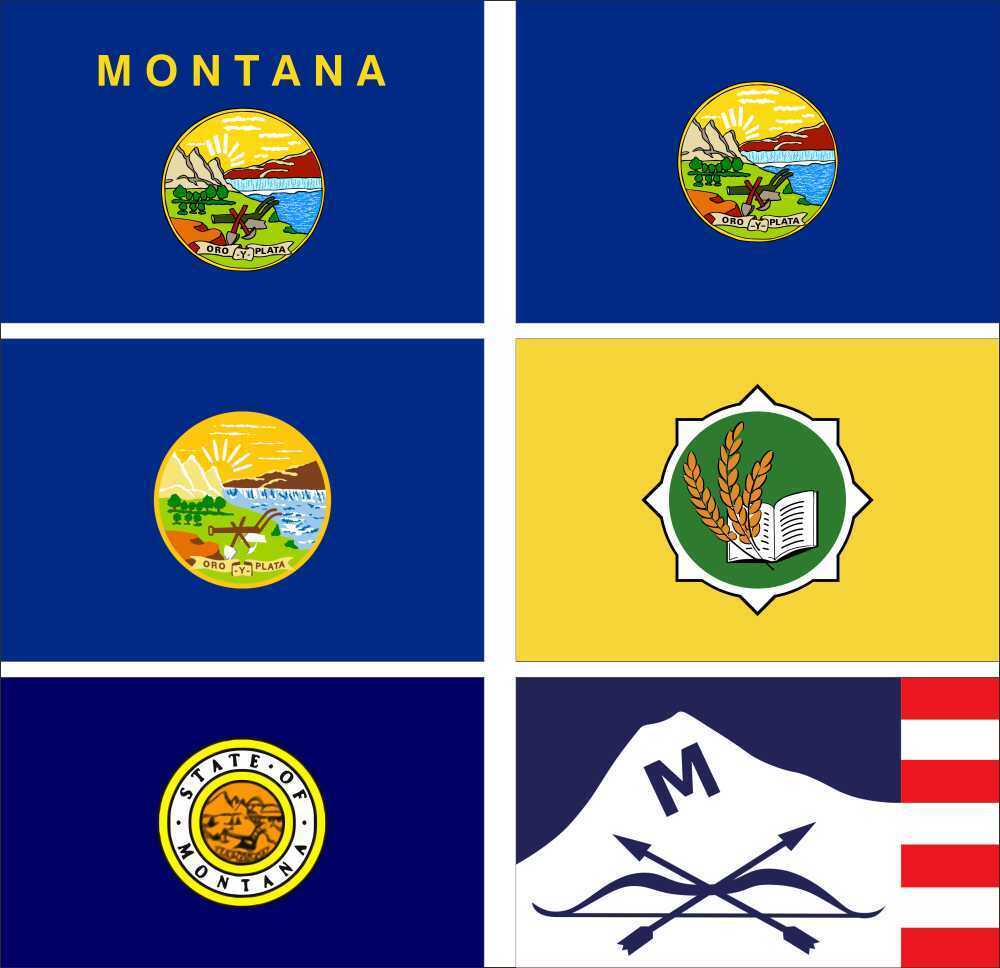 1000x968 USA State Montana Flag 3X5FT Historical 1905 1943 1981 Bozeman Butte City