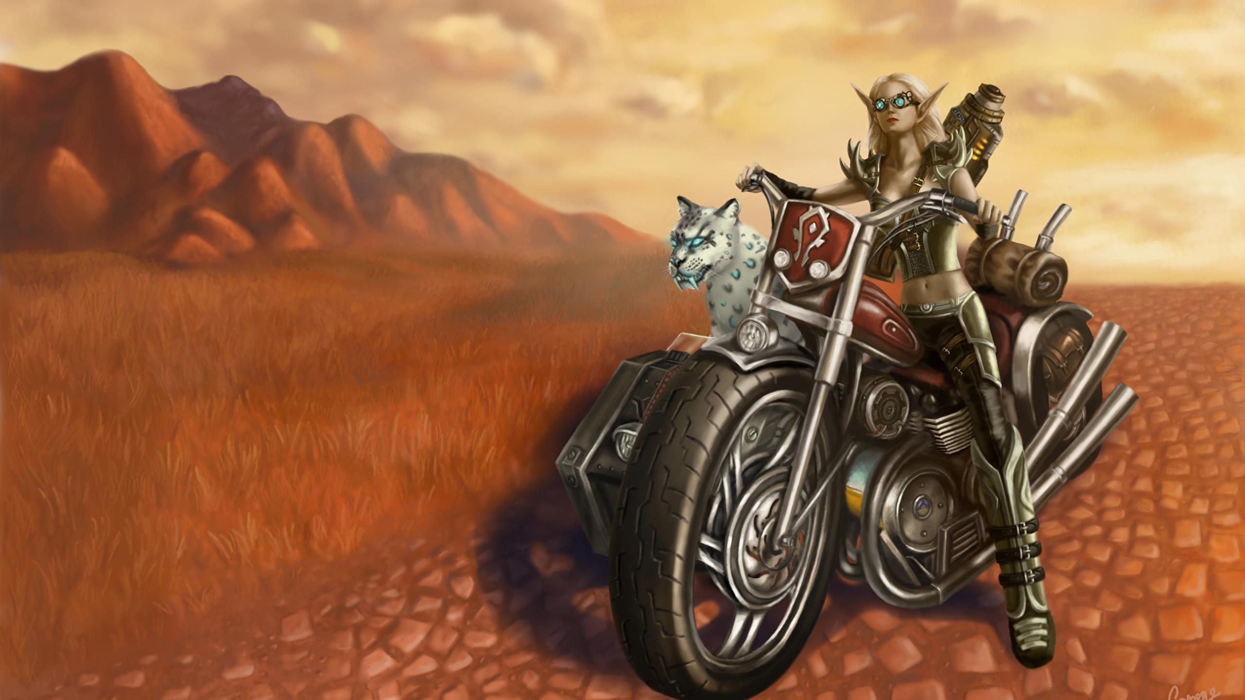 2560x1440 Wallpaper World of WarCraft Snow leopards Elves Hunter 2560x1440