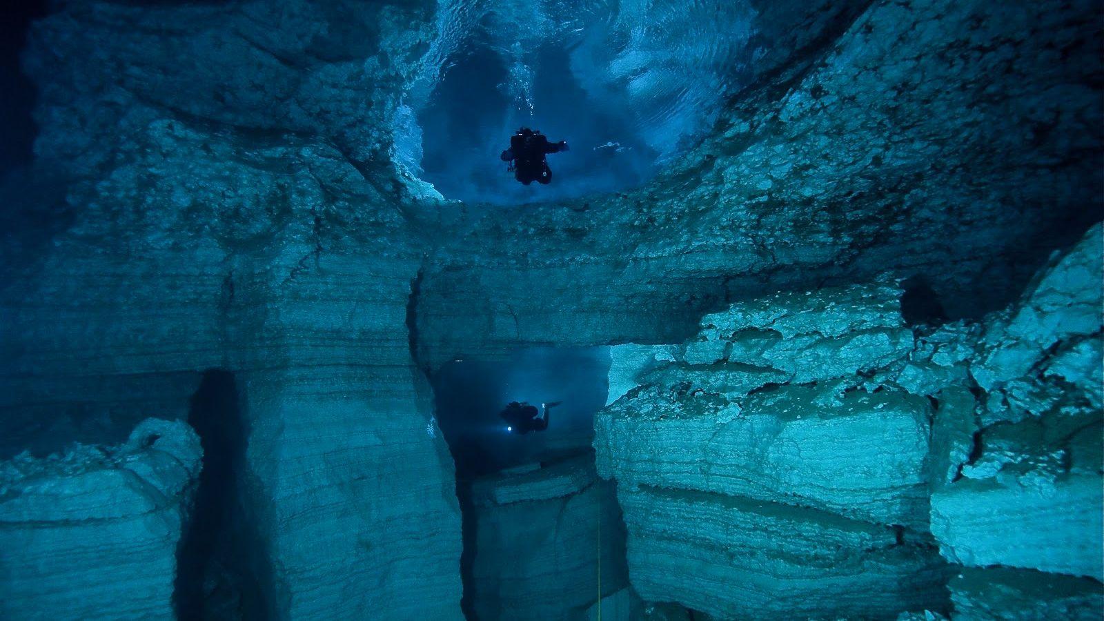 1600x900 The underwater world