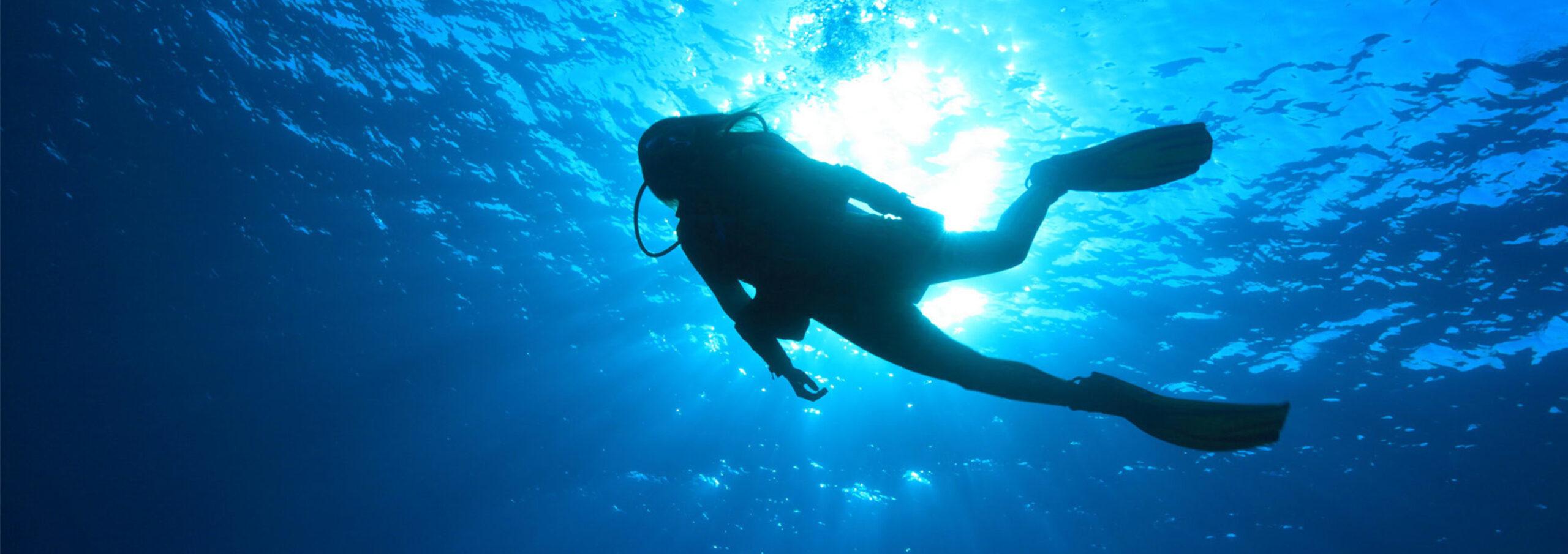 2560x905 Dive Sites Largo's Premier Scuba Charter