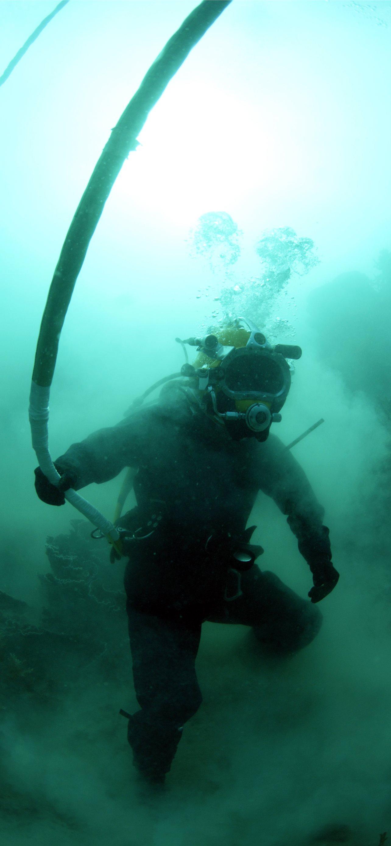 1284x2778 diving iPhone Wallpaper Free Download