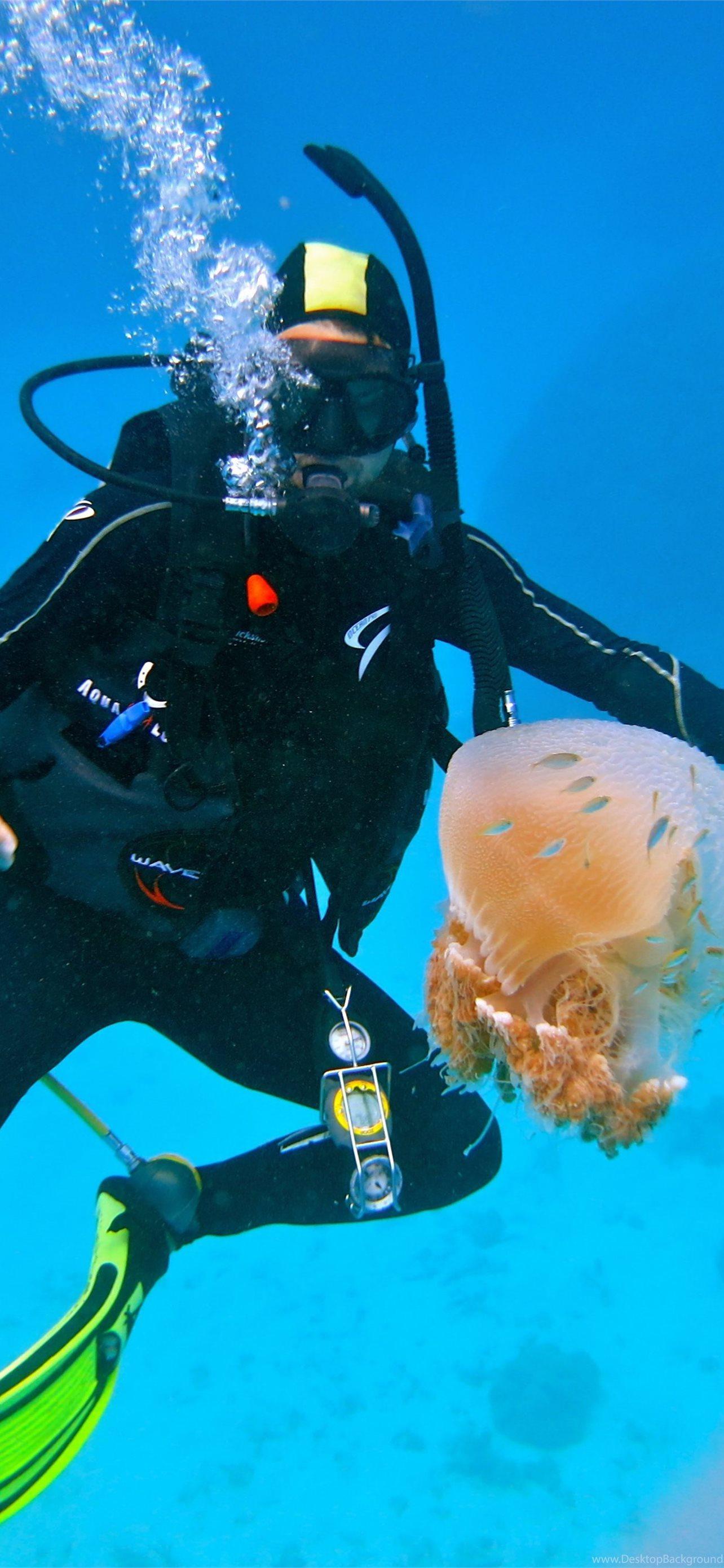 1284x2778 Best Diving iPhone HD Wallpaper