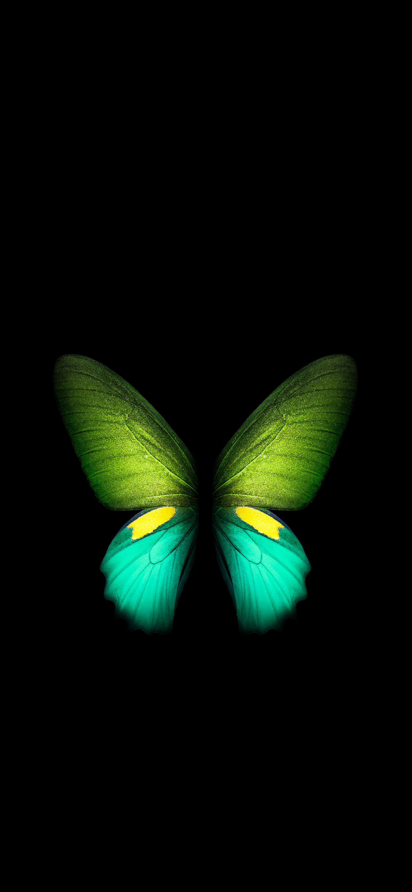 1420x3073 Butterfly Fold (Green). LIVE