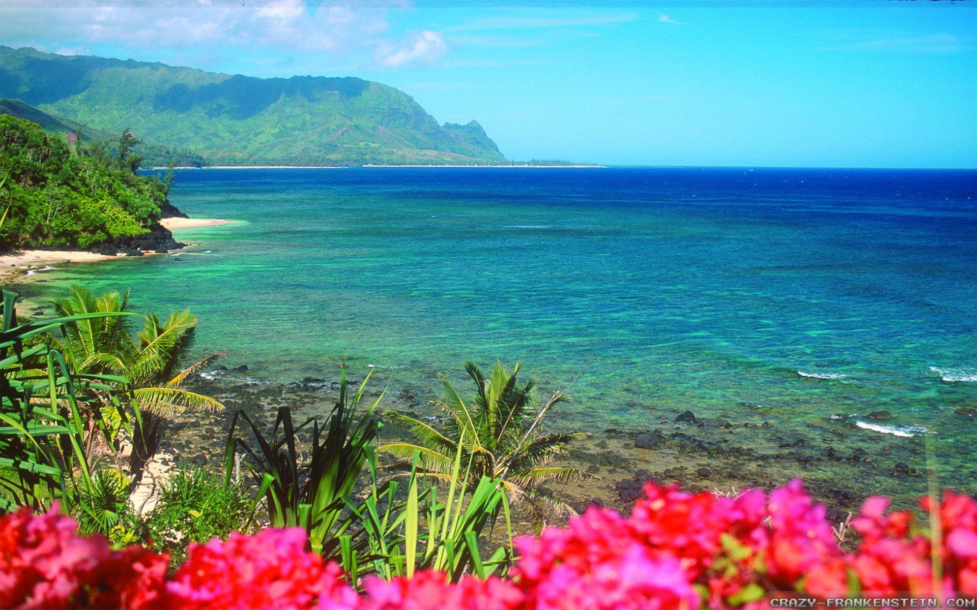 High Resolution Beautiful Hawaii Beach Wallpaper HD 8  SiWallpaperHD 