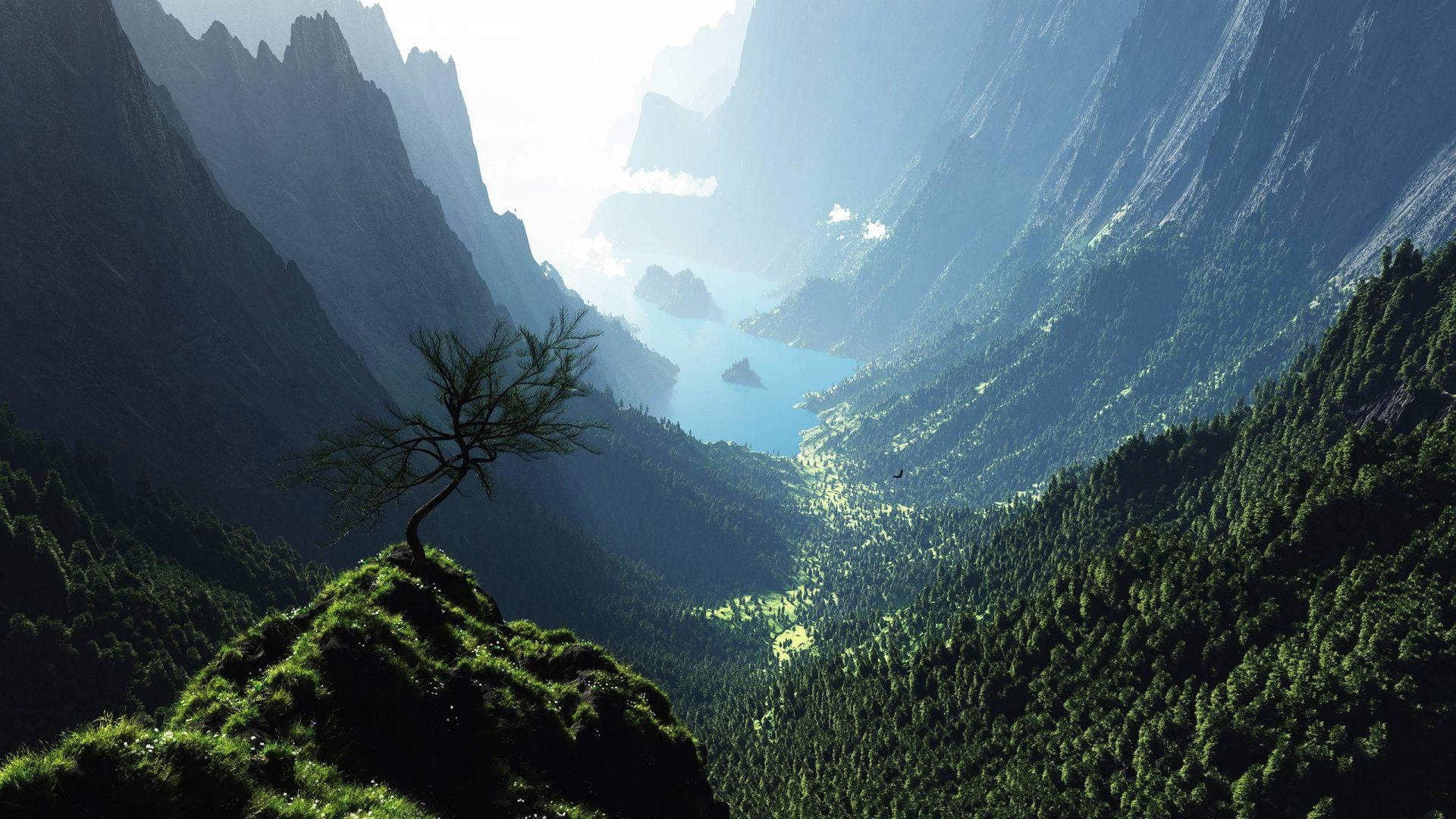 1920x1080 Above Is Valley Forest Panorama Wallpaper In Resolution 1920X1080