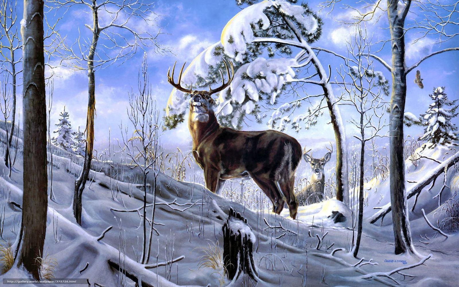 1600x1000 Free download Download wallpaper Deer Winter forest snow free desktop [1600x1000] for your Desktop, Mobile & Tablet. Explore Winter Deer Wallpaper Background. Mule Deer Wallpaper, Whitetail Deer Background, Deer Wallpaper