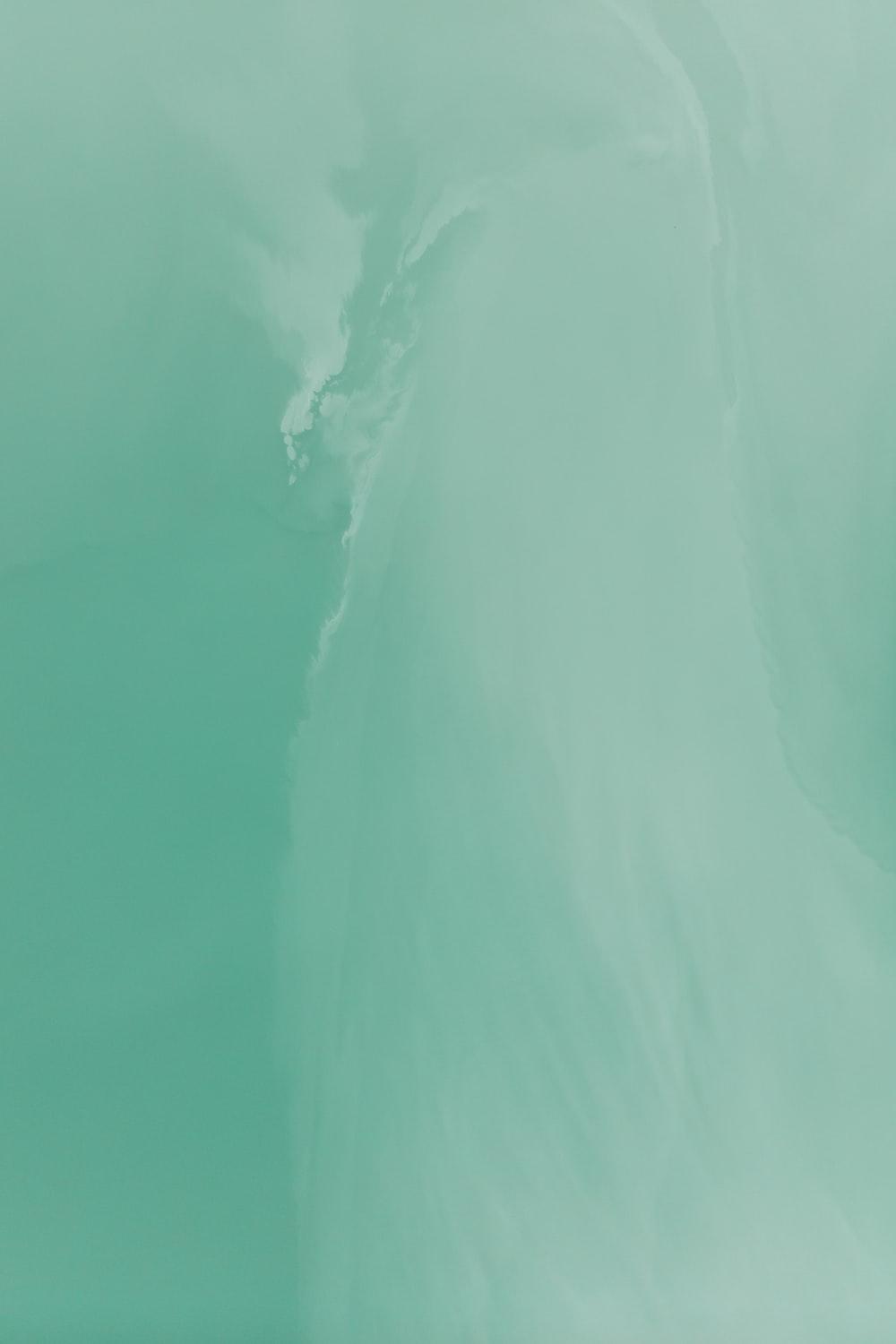 1000x1500 Green Picture [HD]. Download Free Image