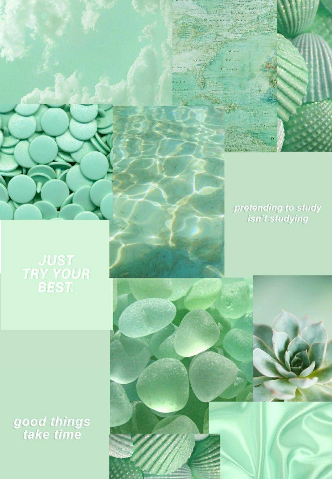1076x1548 Pastel green aesthetic ✨