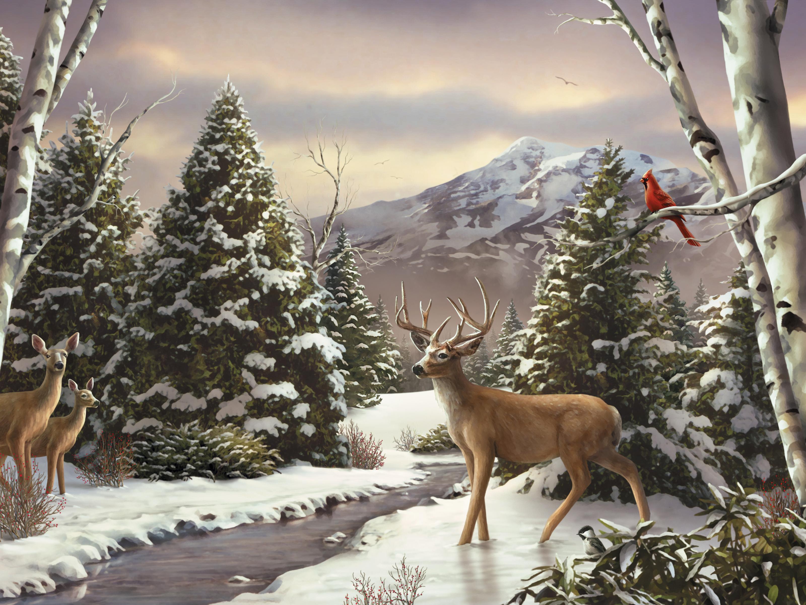 3200x2400 Deer Wall Murals. Deer Wallpaper Your Way
