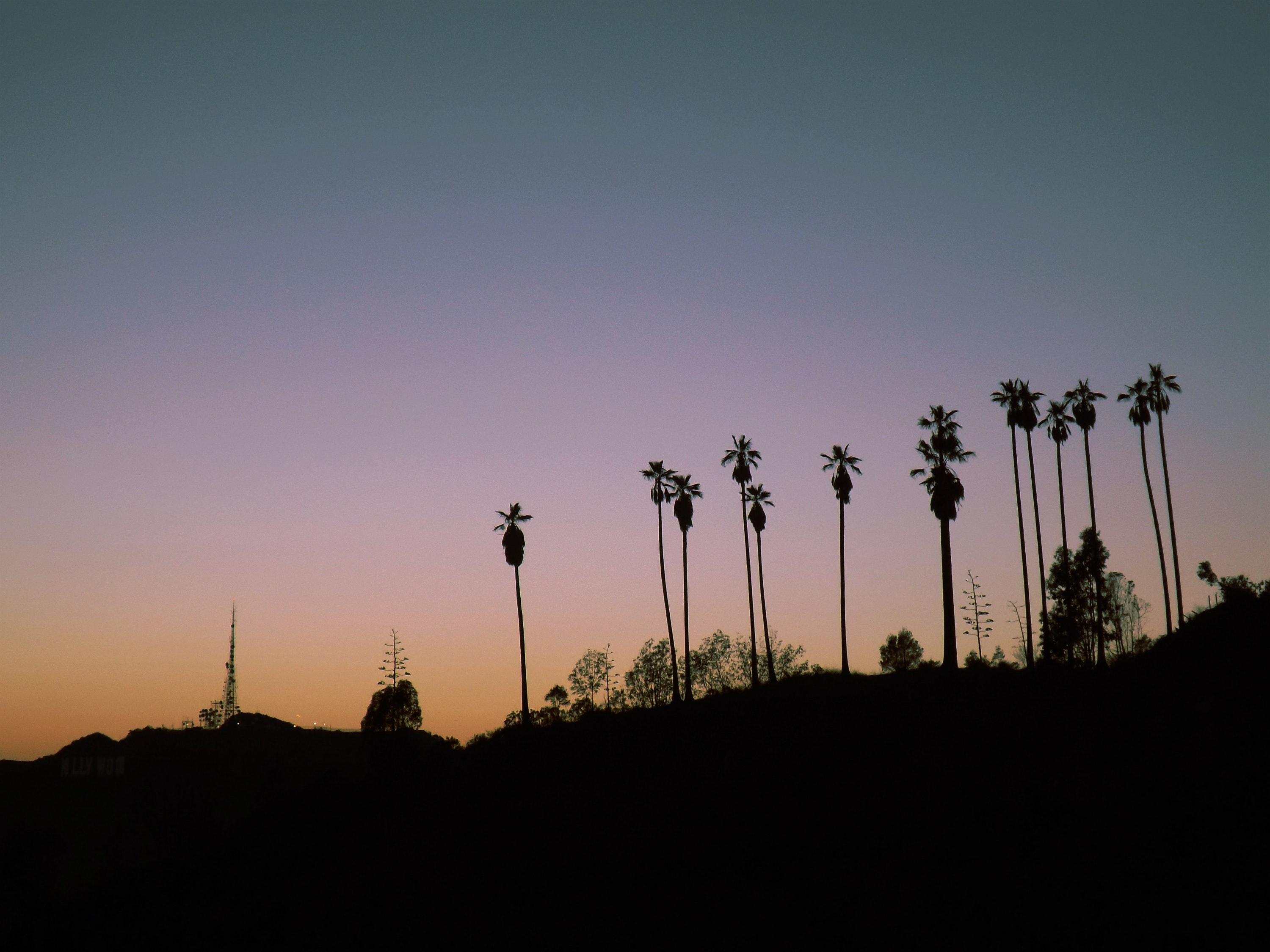 3000x2250 Hollywood Boulevard Photo, Download The BEST Free Hollywood Boulevard & HD Image