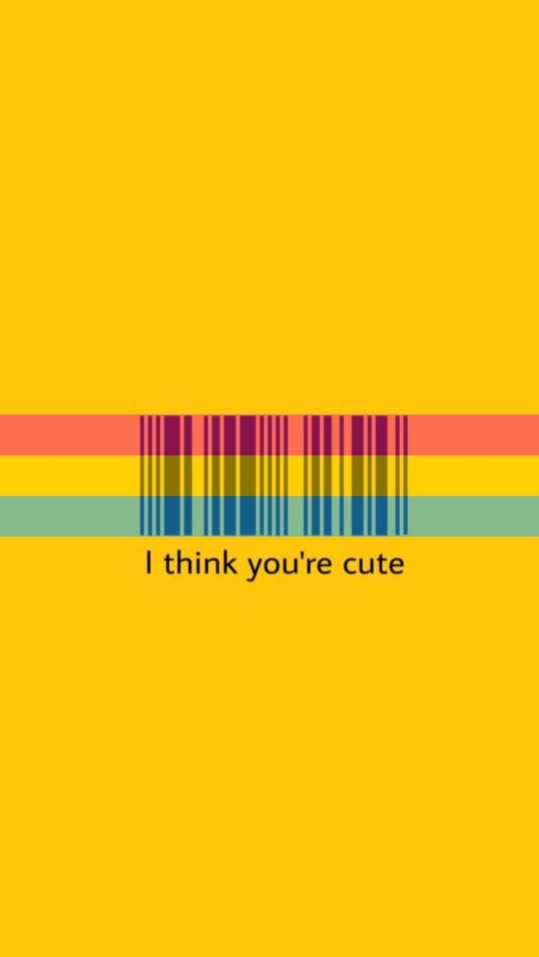 1080x1917 Download Lgbtq Cute Pan Flag Barcode Aesthetic Wallpaper