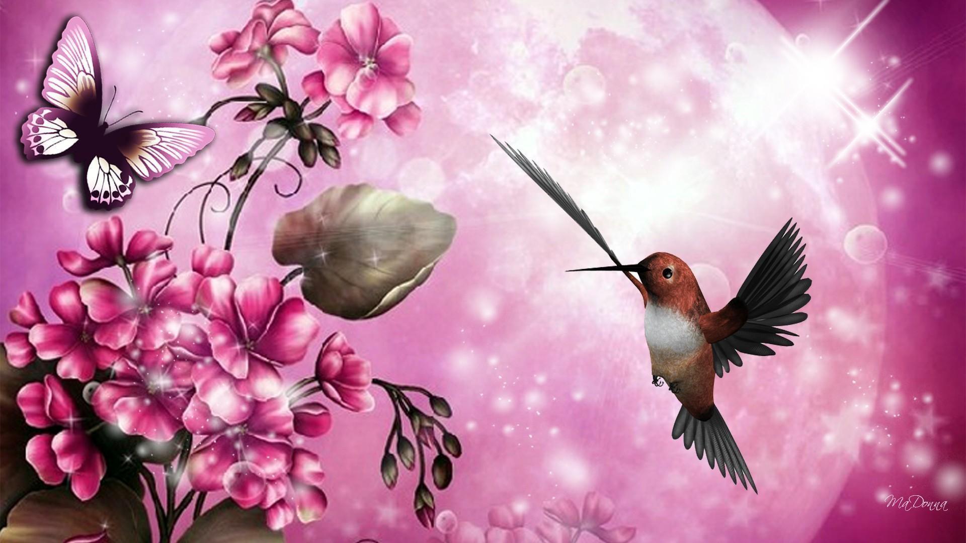 1920x1080 Bird and Butterfly Wallpaper