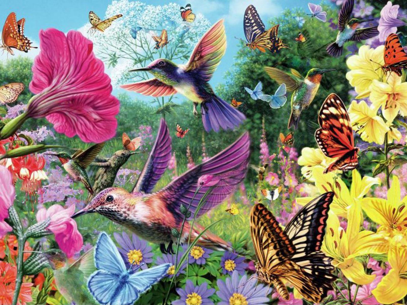 1600x1200 Hummingbirds Butterflys Floral wallpaper. Hummingbirds Butterflys Floral