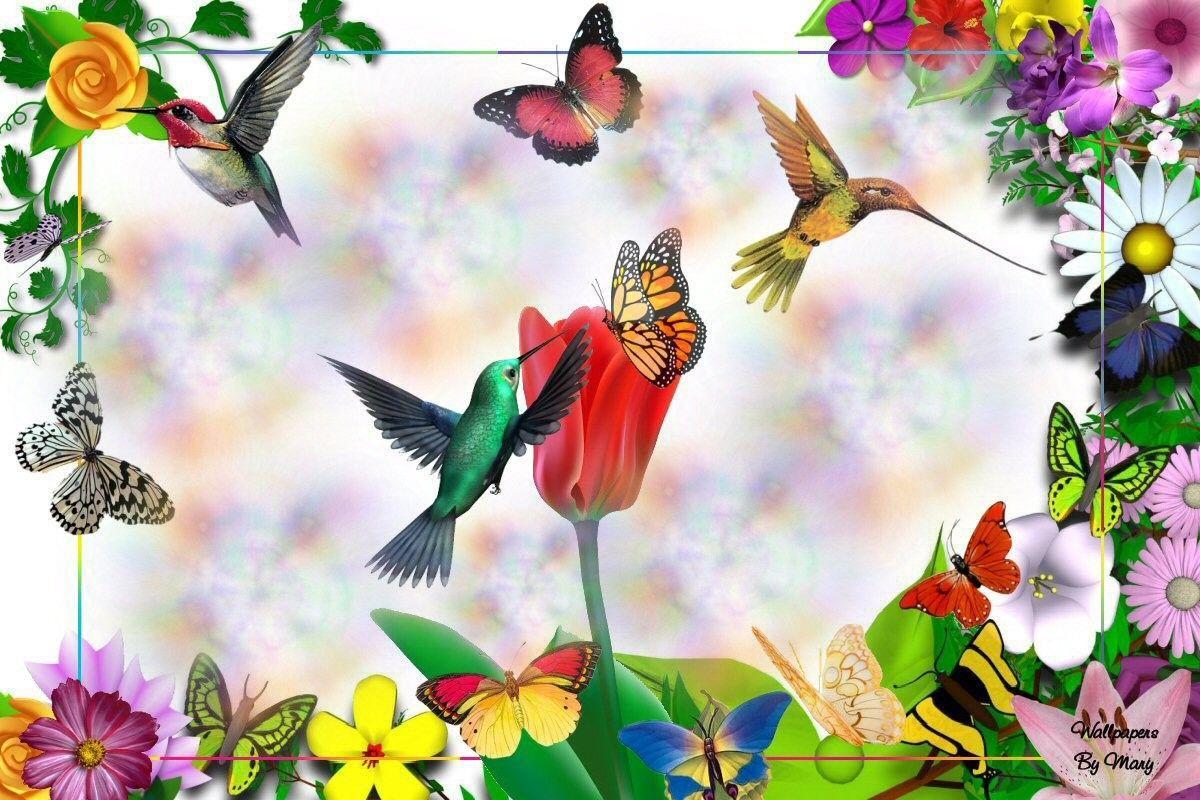 1200x800 Hummingbird And Roses Wallpaper