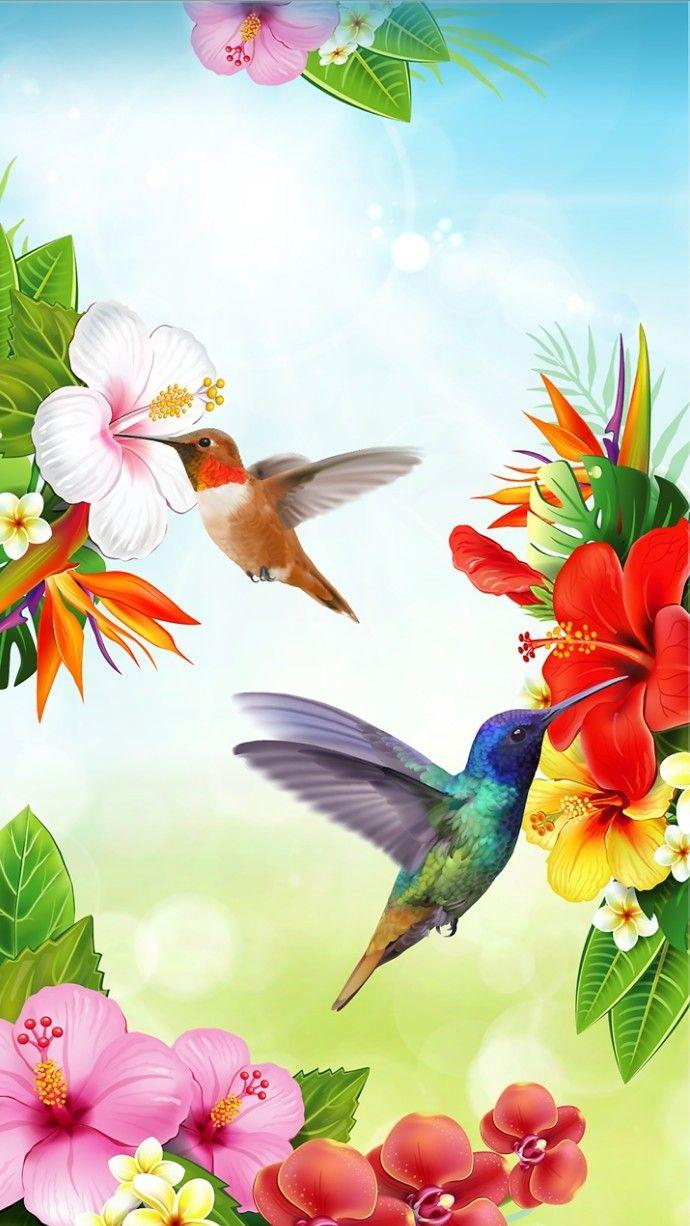 690x1226 pajaros. Bird art, Hummingbird art, Wallpaper nature flowers