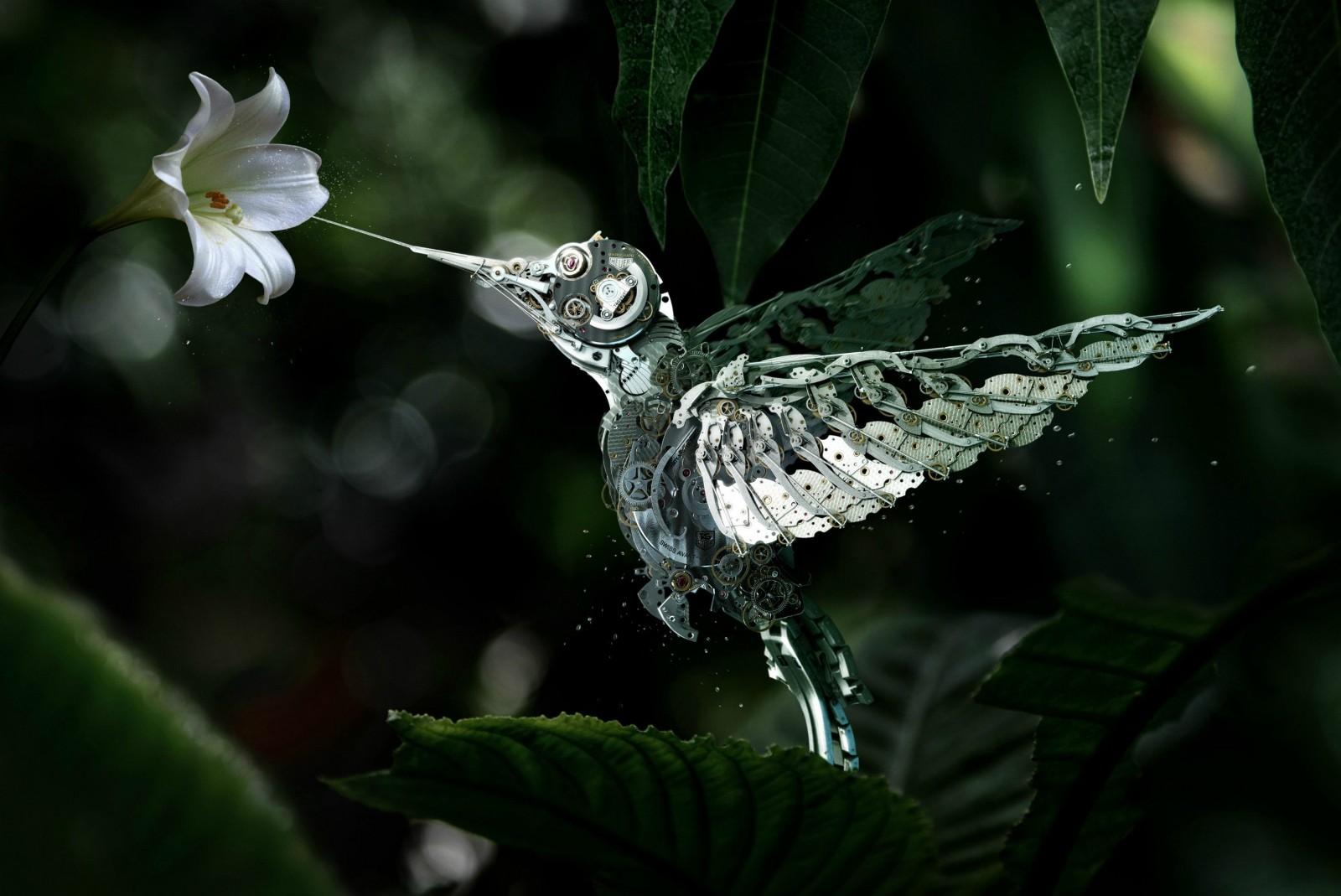 1600x1069 hummingbird, birds, 4k, hd, abstract, artist, digital art Gallery HD Wallpaper