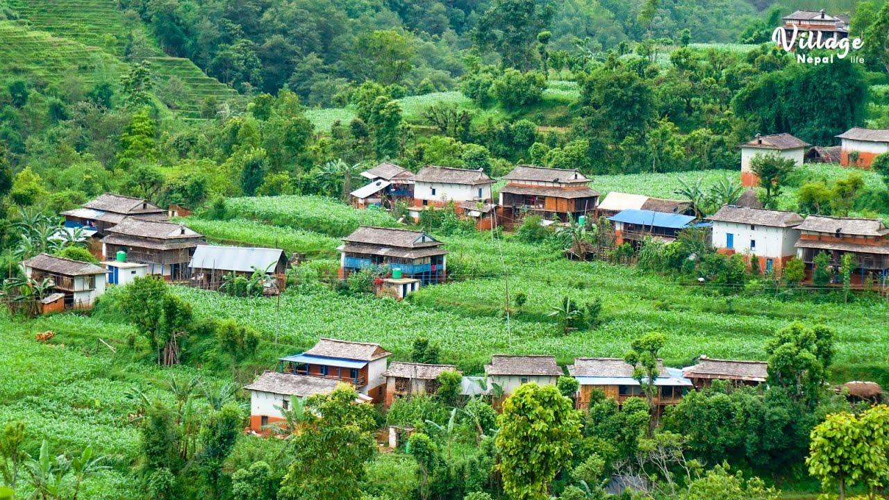 1280x720 Beautiful Countryside life in Nepal. Life in Rural Nepal. Village life in Western Nepal [4K]