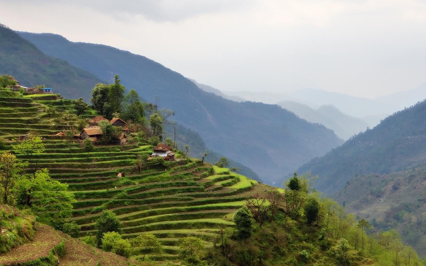 1680x1050 Nepal Rice Terrace Annapurna Landscape Farming Wallpaper:1680x1050