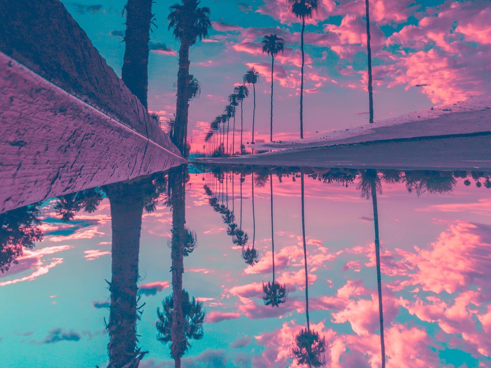 1600x1200 Palm Trees Reflection Sky 1600x1200 Resolution HD 4k Wallpaper, Image, Background, Photo and Picture