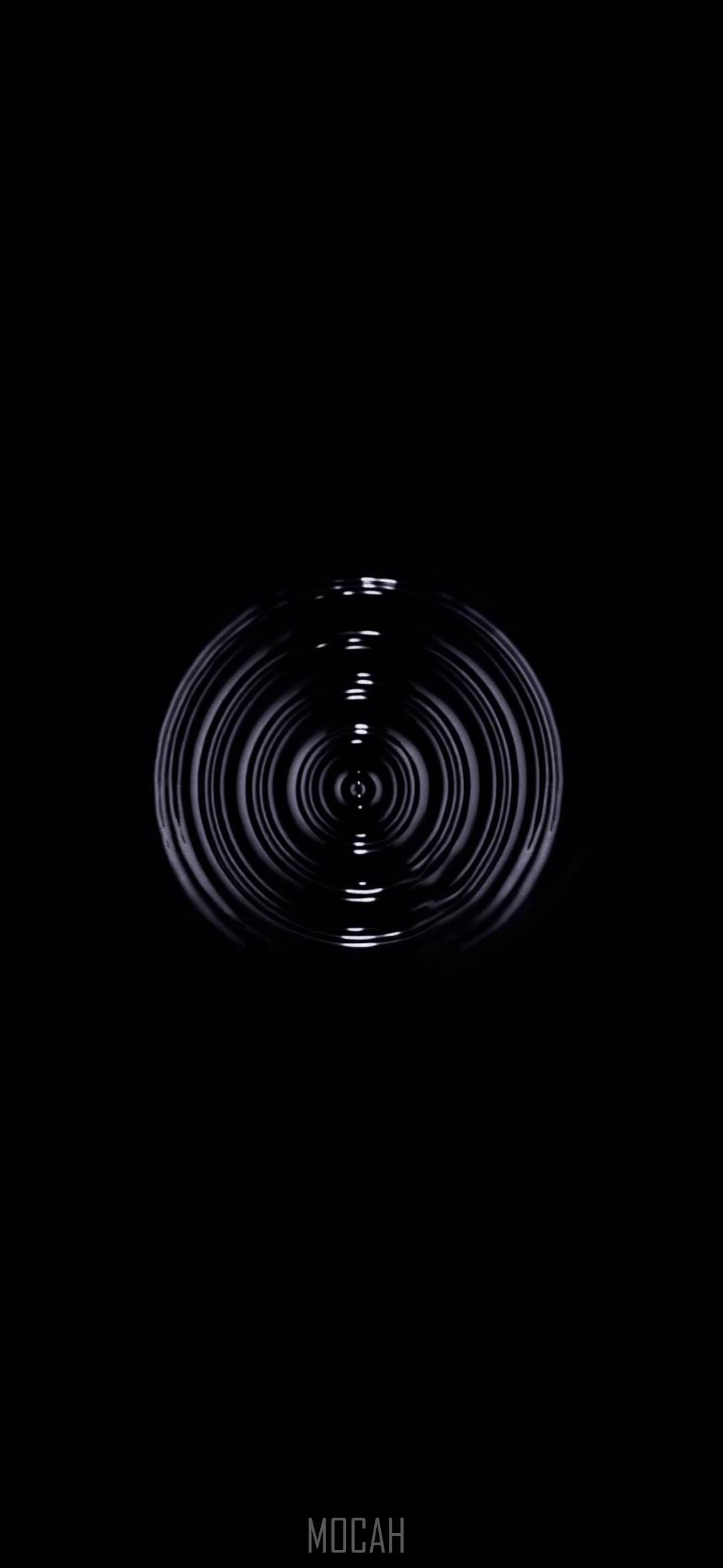 1080x2340 Light, Black And White, Black, Monochrome, Darkness, Huawei P30 Pro New Edition Screensaver, 1080X2340 HD Phone Wallpaper