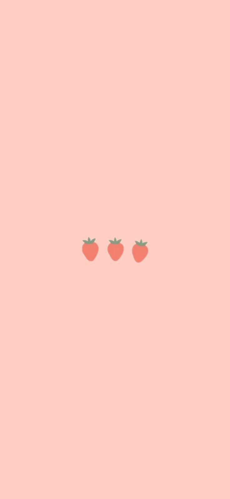 736x1594 wallpaper